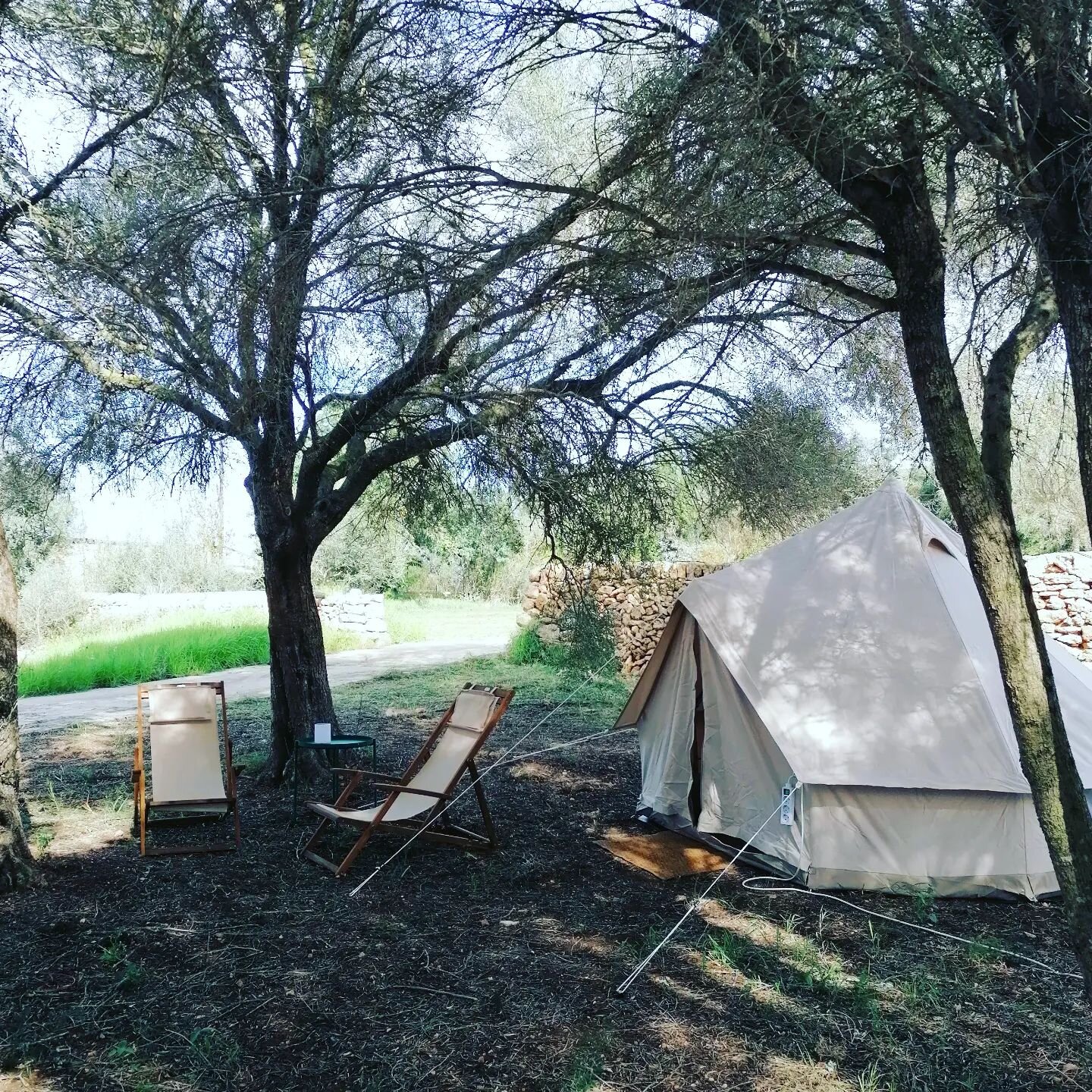We pitched our Sahara Bell Tents in the garden of a finca near Palma de Mallorca and four wedding guests have had the honour and pleasure to sleep in the bell tents last night. On Monday we'll pick the tents up and tell you more about their experienc