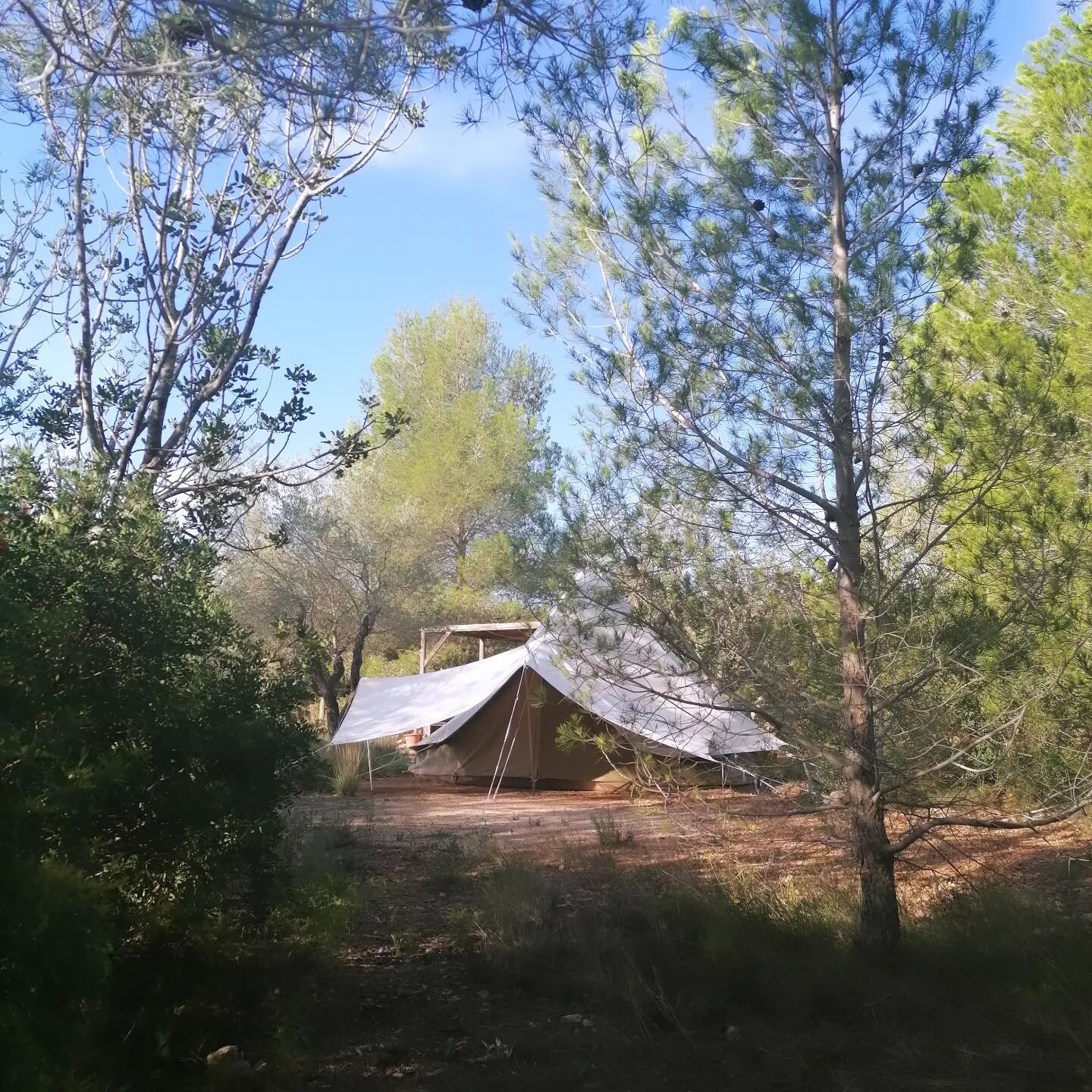 Hugo @hugowillfixit and I @mariannedekuyper are originally from Amsterdam, but we have also been enjoying our time on Mallorca for the past 5 years.

We have developed a deep appreciation for the sun and nature on the island. Whenever we return to Am