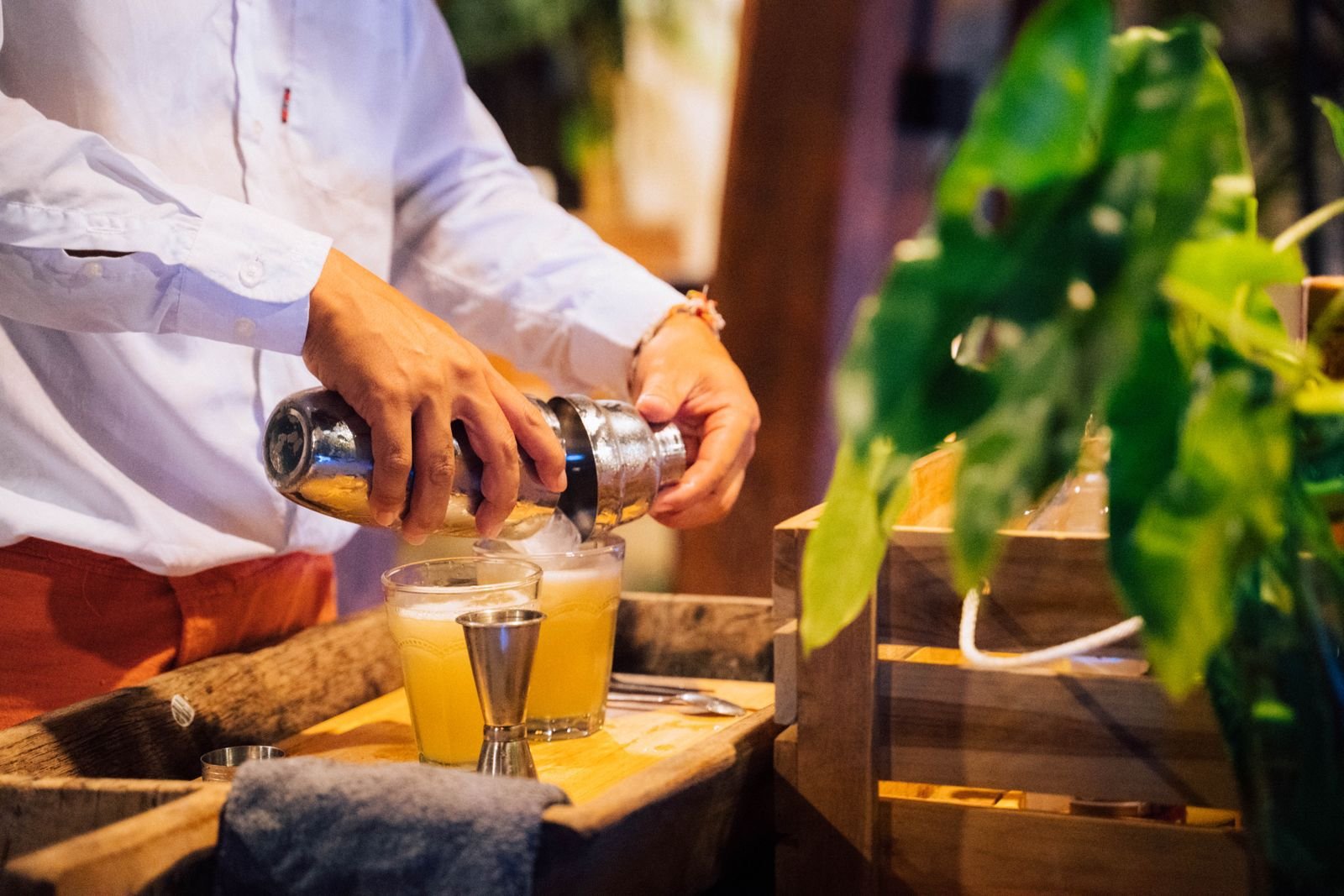 WhatsApp Image 2024-10-24 at 05.18.53.jpeg