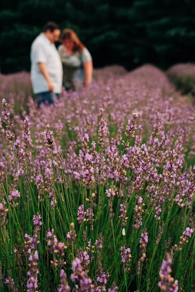 8-mattawan-lavender-farm-photographer.jpg