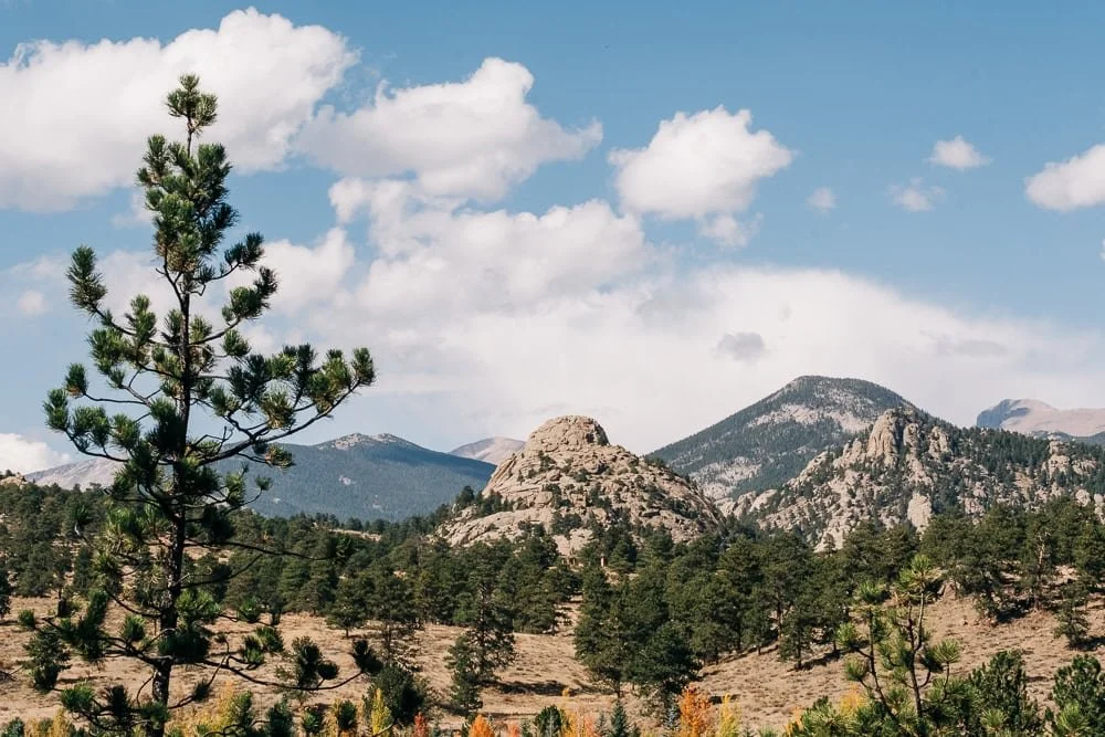 011-estes park view.jpg