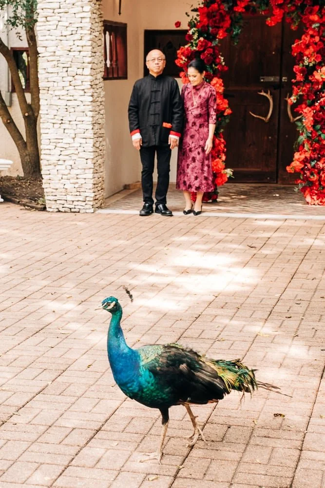 vietnamese-chinese-wedding-74.jpg