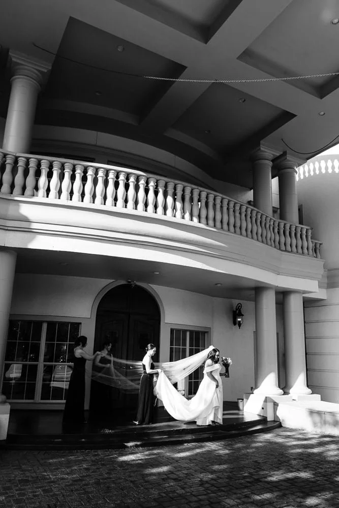 036-formal wedding bride bridesmaids.jpg
