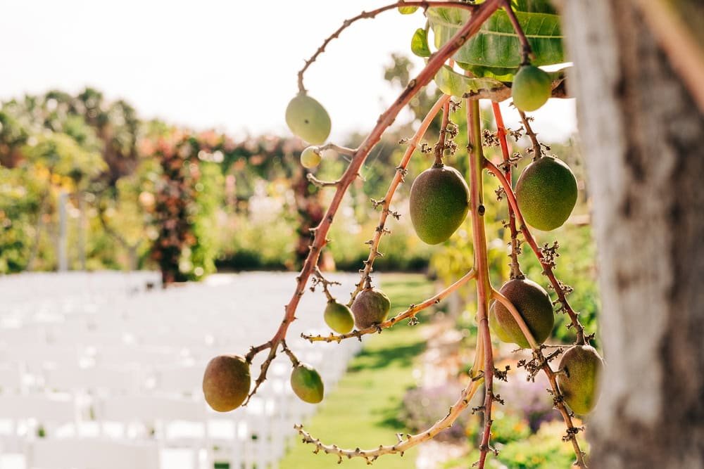 151-wedding details flora farms.jpg