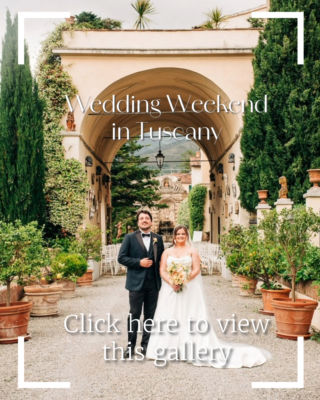 Click here to see a gallery of photos from this wedding.