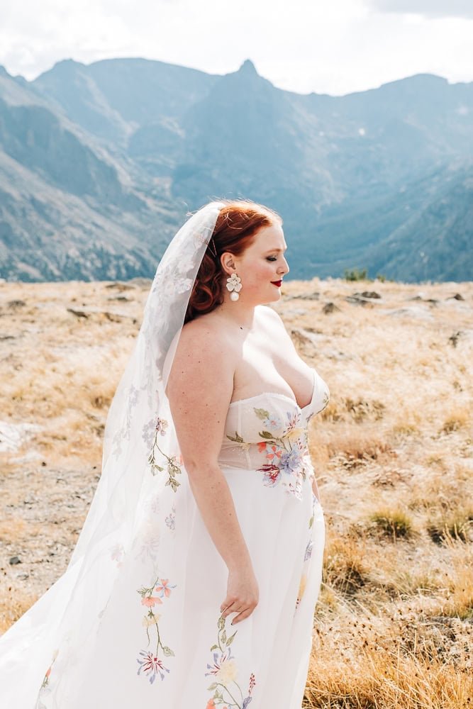 044-micro-wedding-trail-ridge-road.jpg