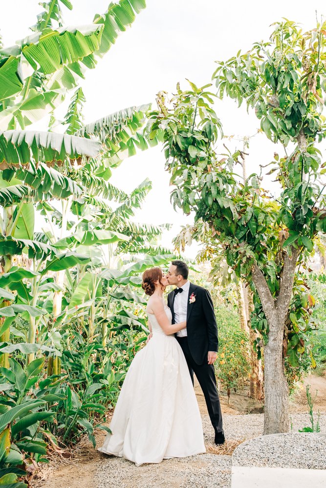 A bride and groom kissing outdoors amidst greenery, including banana trees and a leafy tree, with the bride in a white gown and the groom in a black suit.