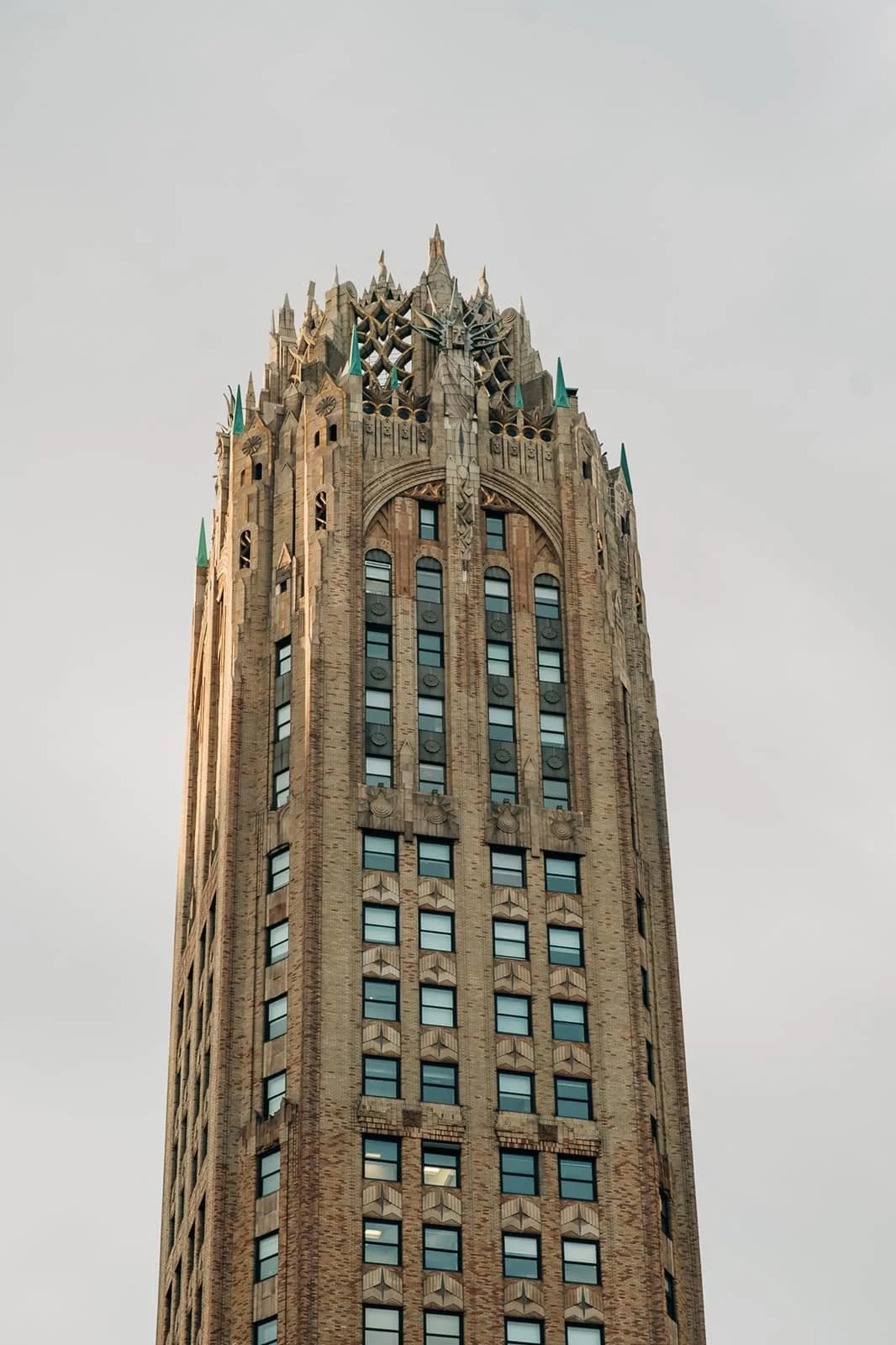 1170-3036.jpg