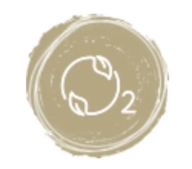 image_6487327 (1).JPG