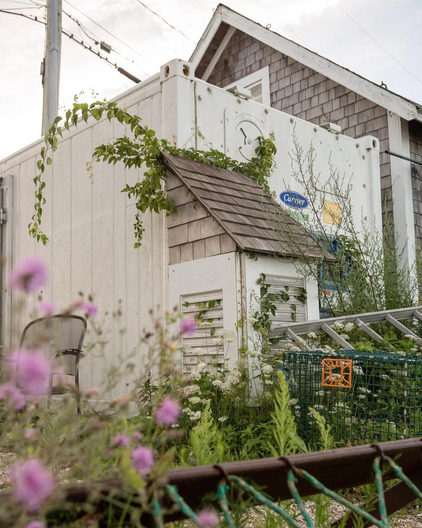 Life's all about finding beauty in every little corner.
 
 
 
#marthasvineyard #marthasvineyardphotographer #photographer #ncphotographer #northcarolinaphotographer #sunset #goldenhour #goldenhourphotography #cape #capecod #capecodphotography #neweng