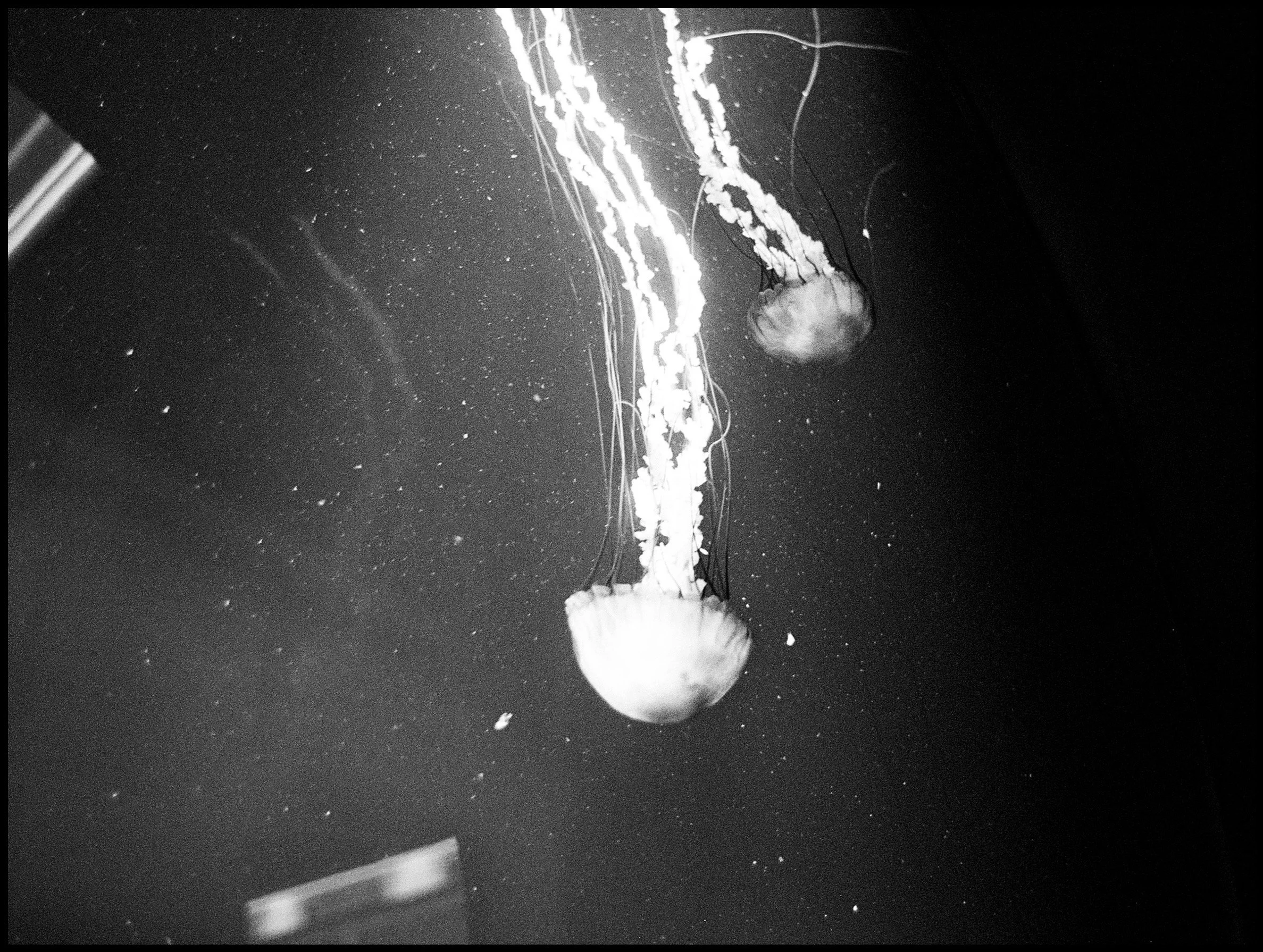 DCA7F0F6-D5B2-435A-A6EF-483A8101CB48.JPEG