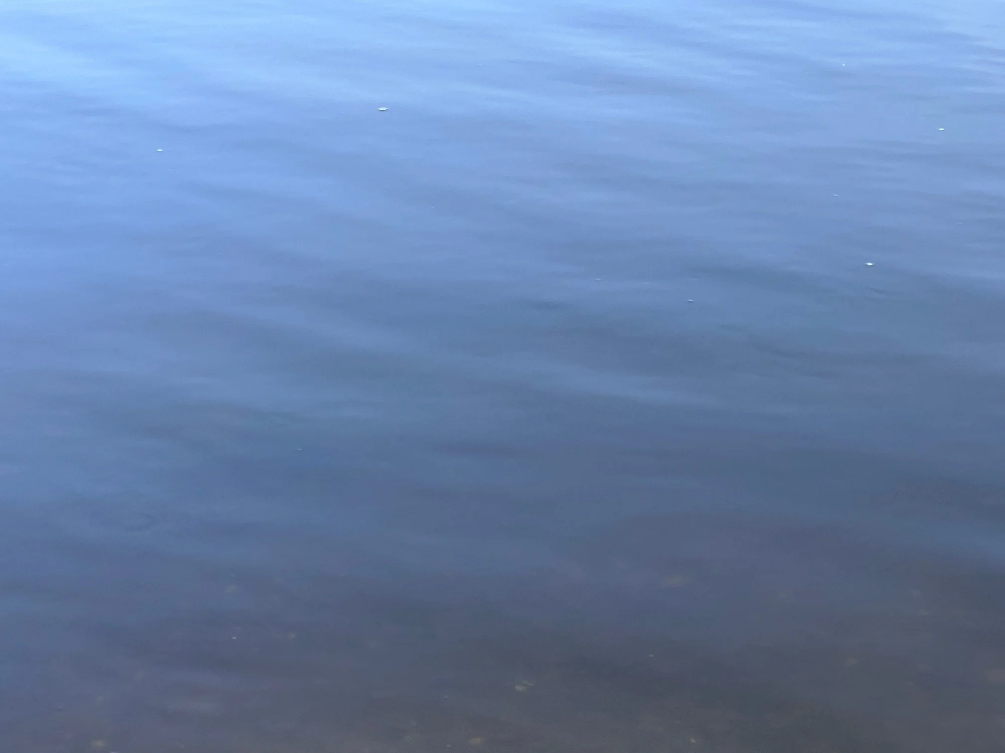 water photo by Dawn V.JPG