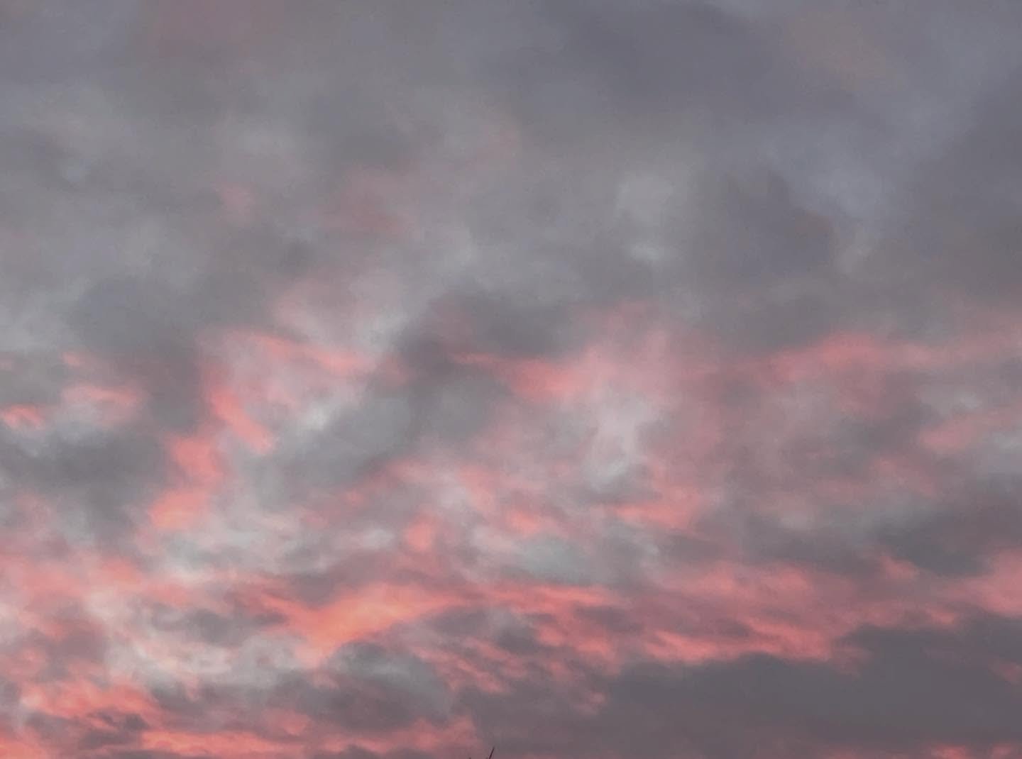 Winter&rsquo;s Coming but wait! it&rsquo;s Already Here. Photo by Dawn Vogel