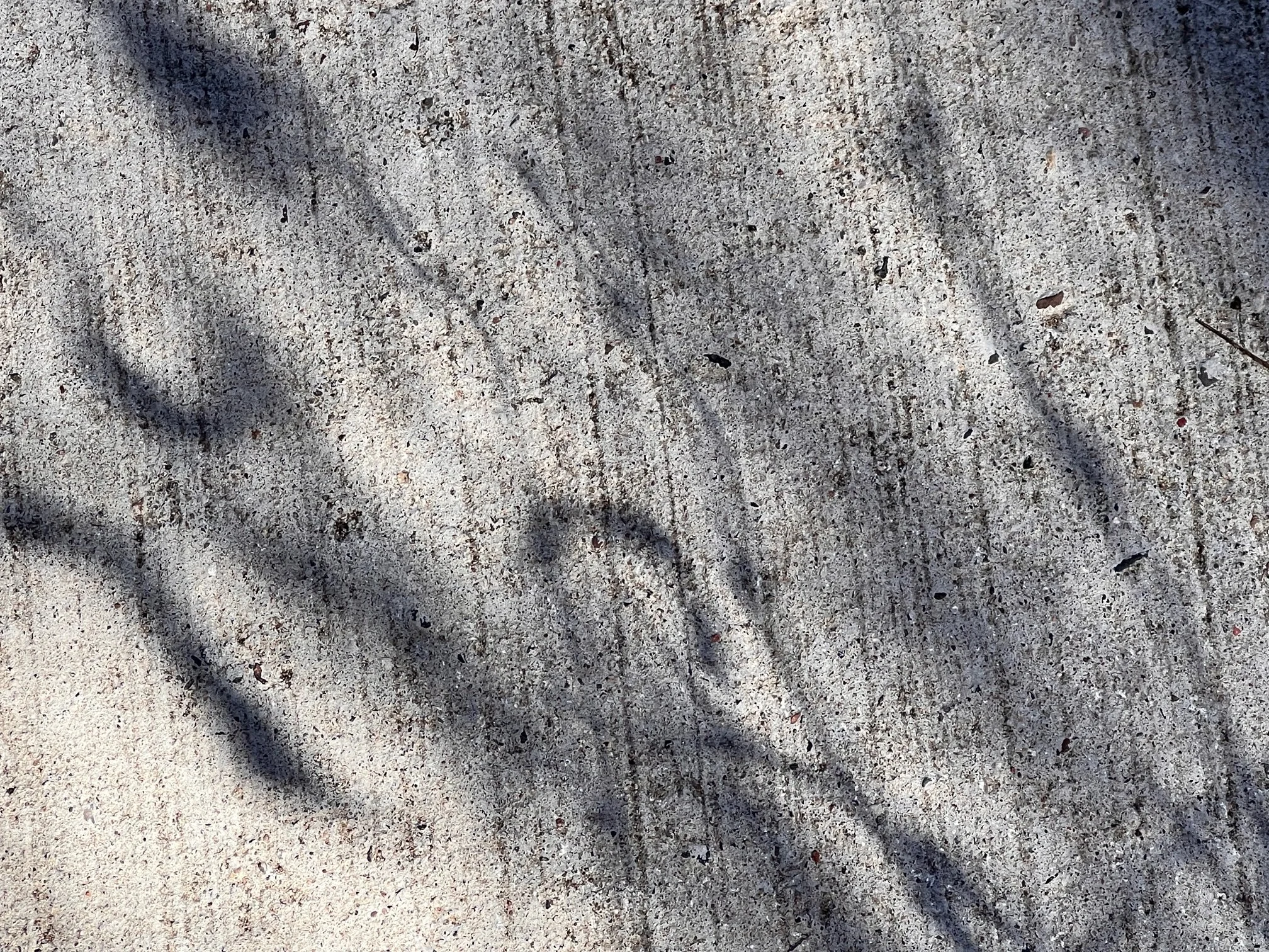 Shadows on sidewalk