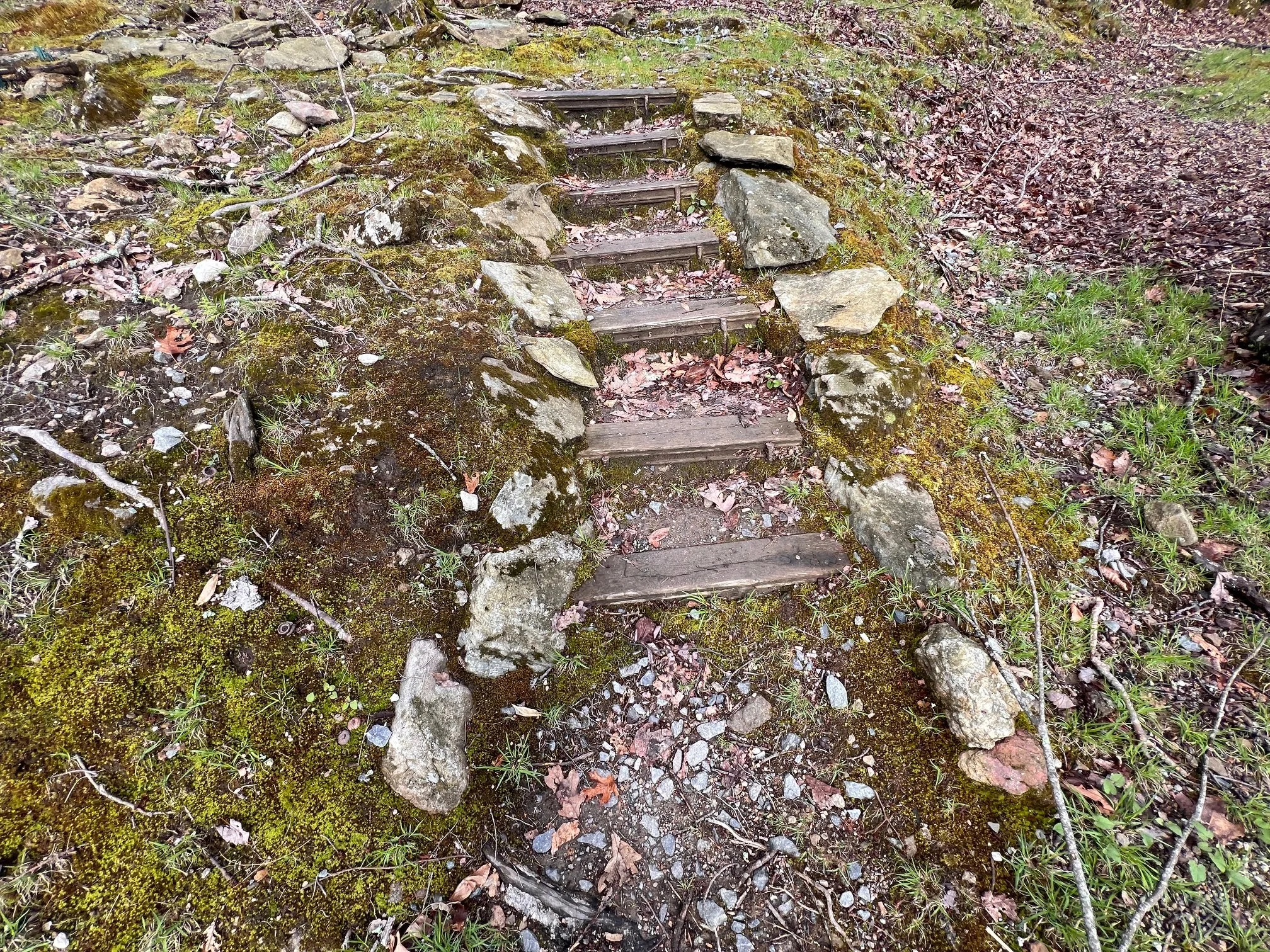 rocky steps on mossy land