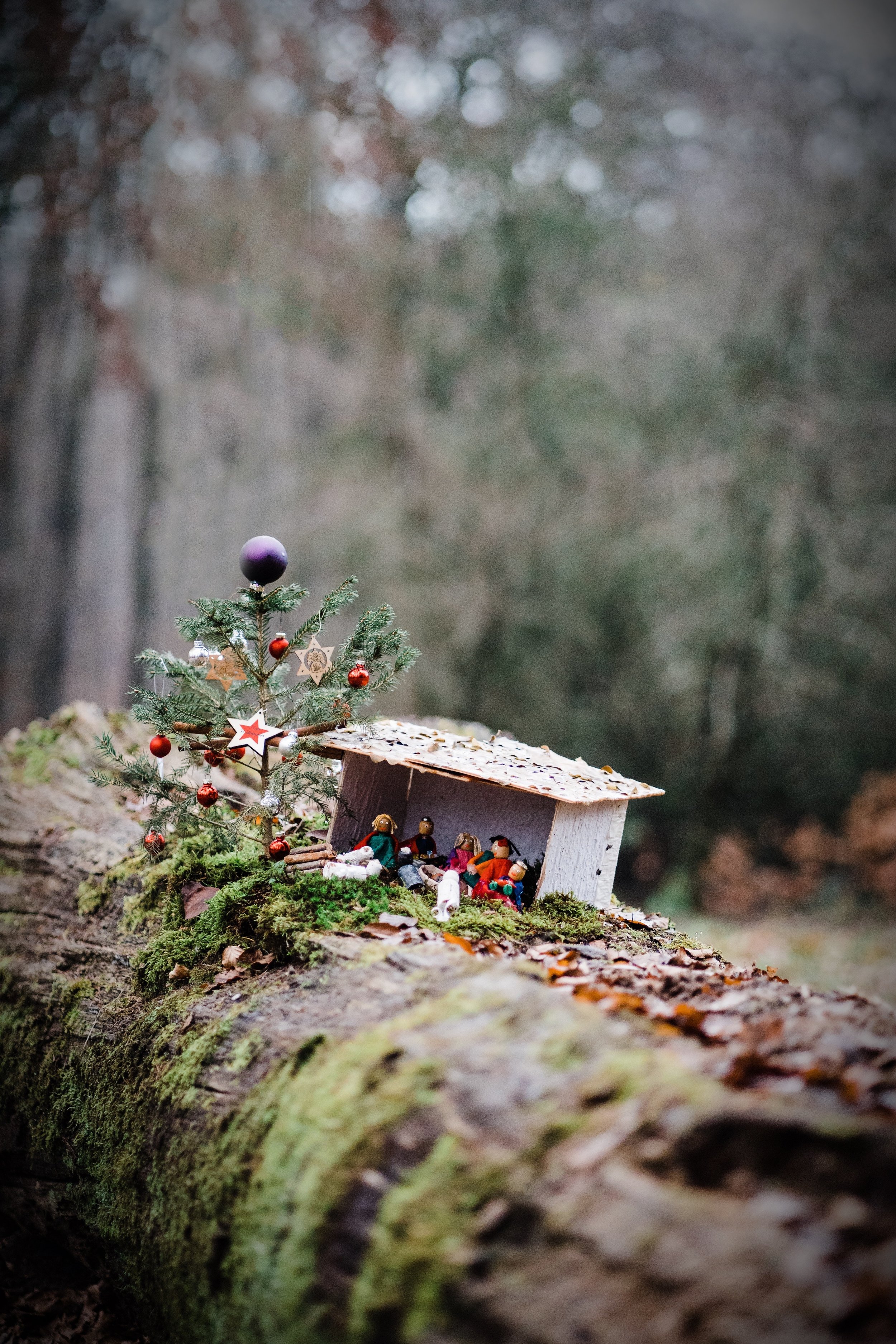 Daily Devotional for Friday 8th December 