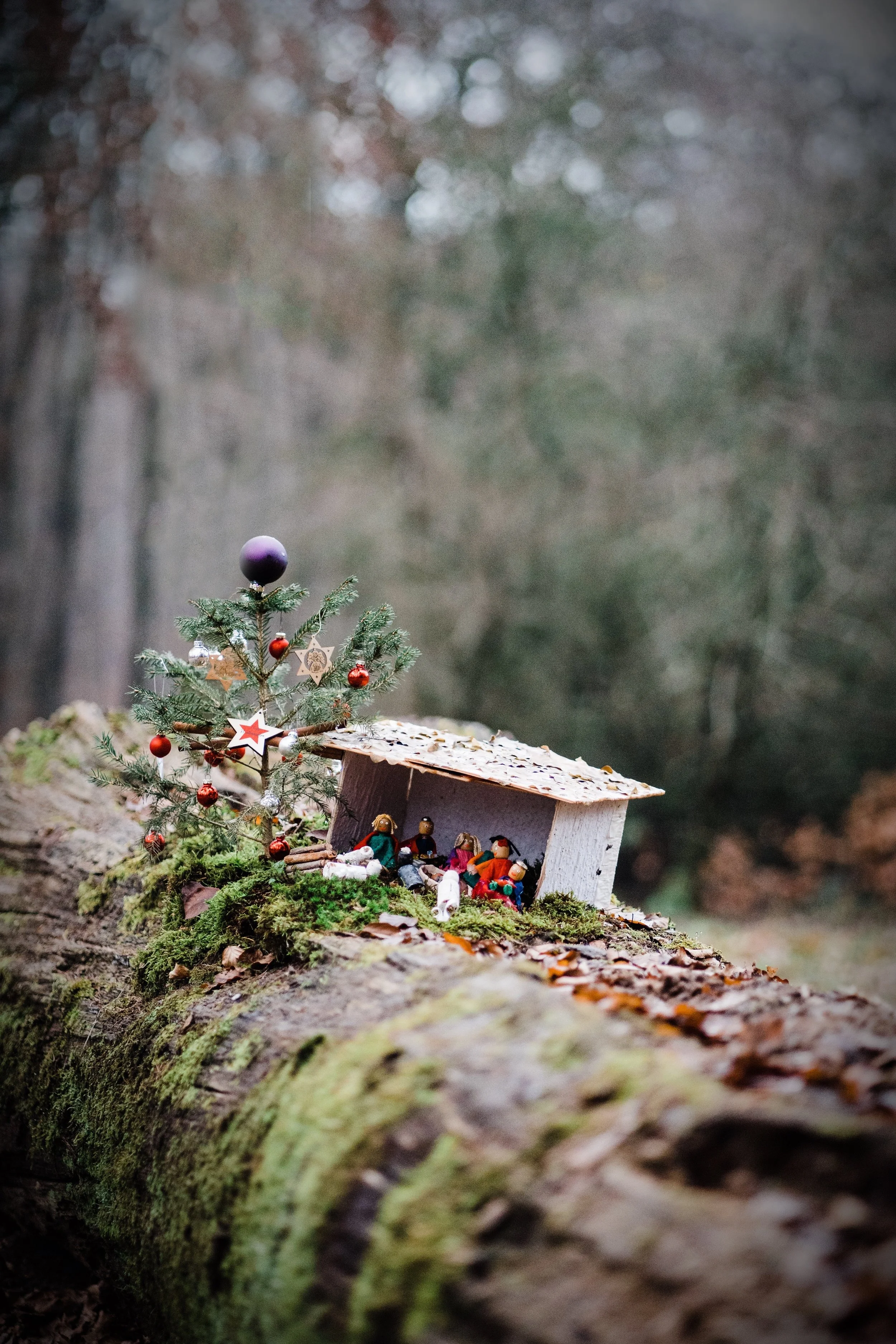 Daily Devotional for Thursday 28th December 