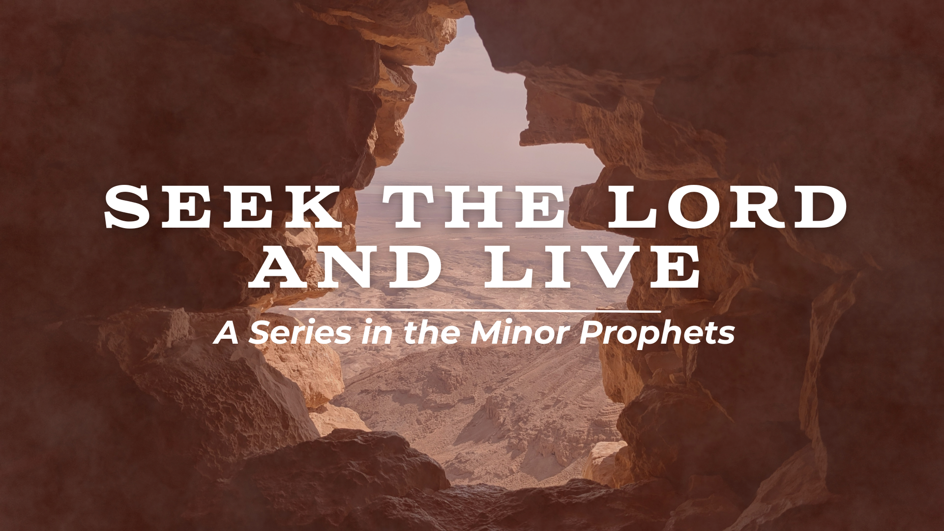 Seek the Lord and Live