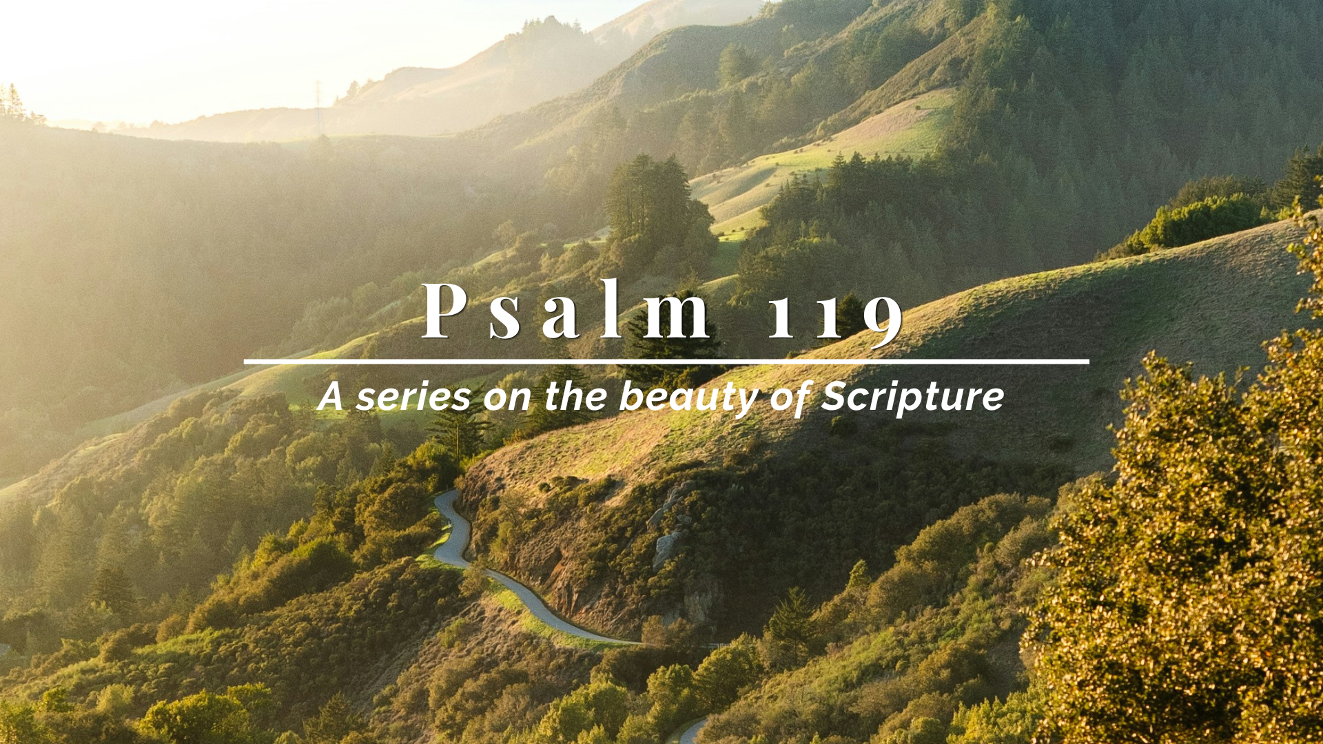 SM23  PSALMS.png