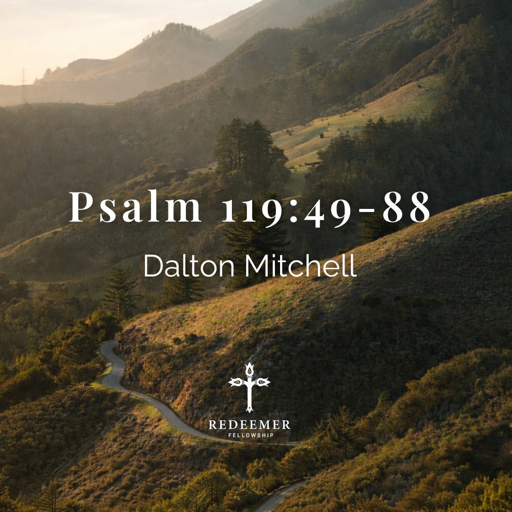 Psalm 119:49-88