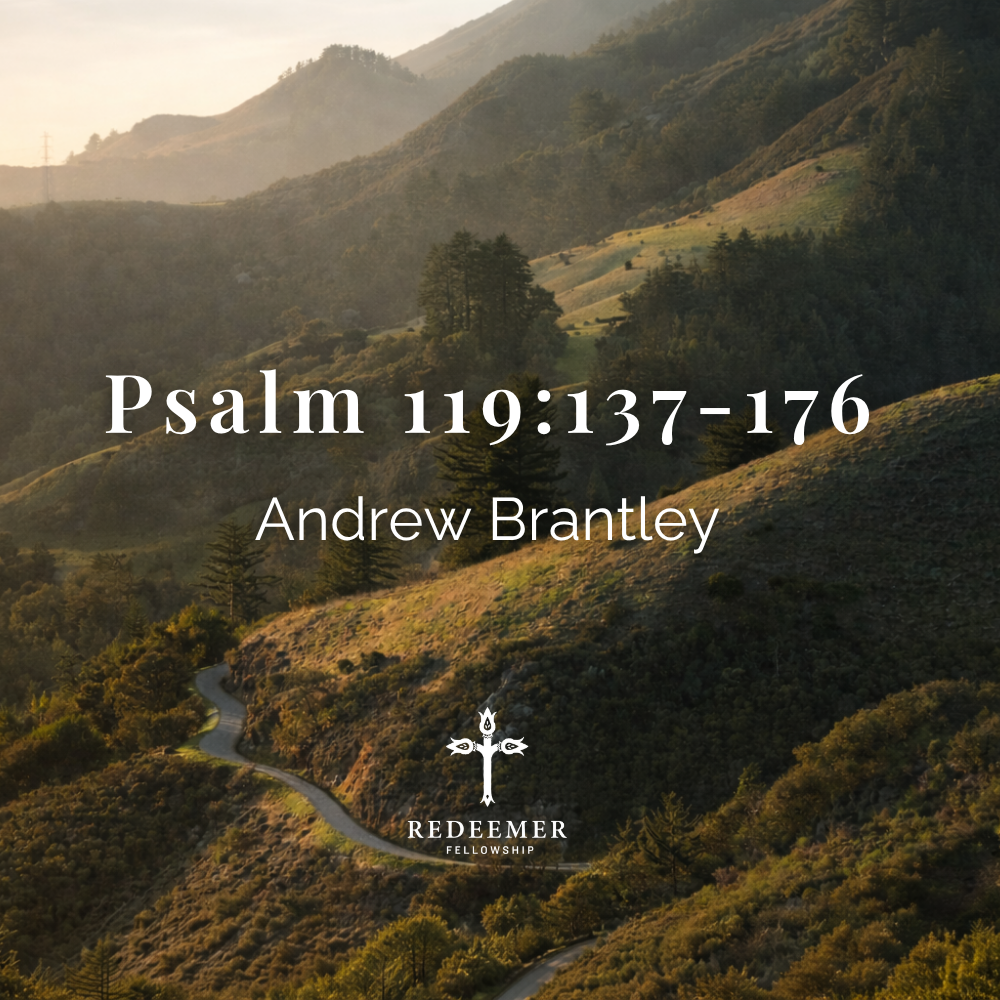 Psalm 119:137-176