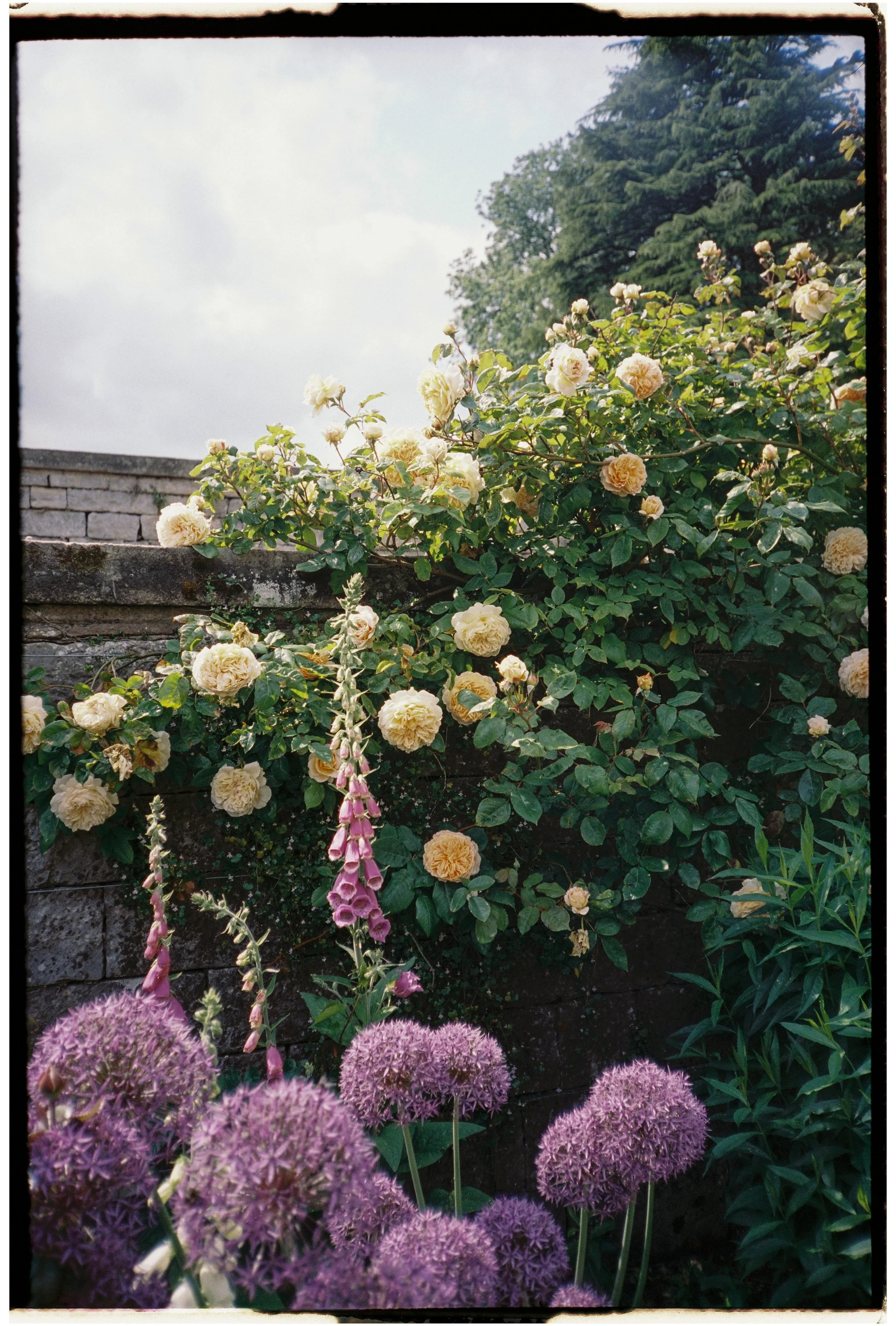 E-L-FILM-MOLLY-ANN-PHOTOGRAPHY-2.jpg