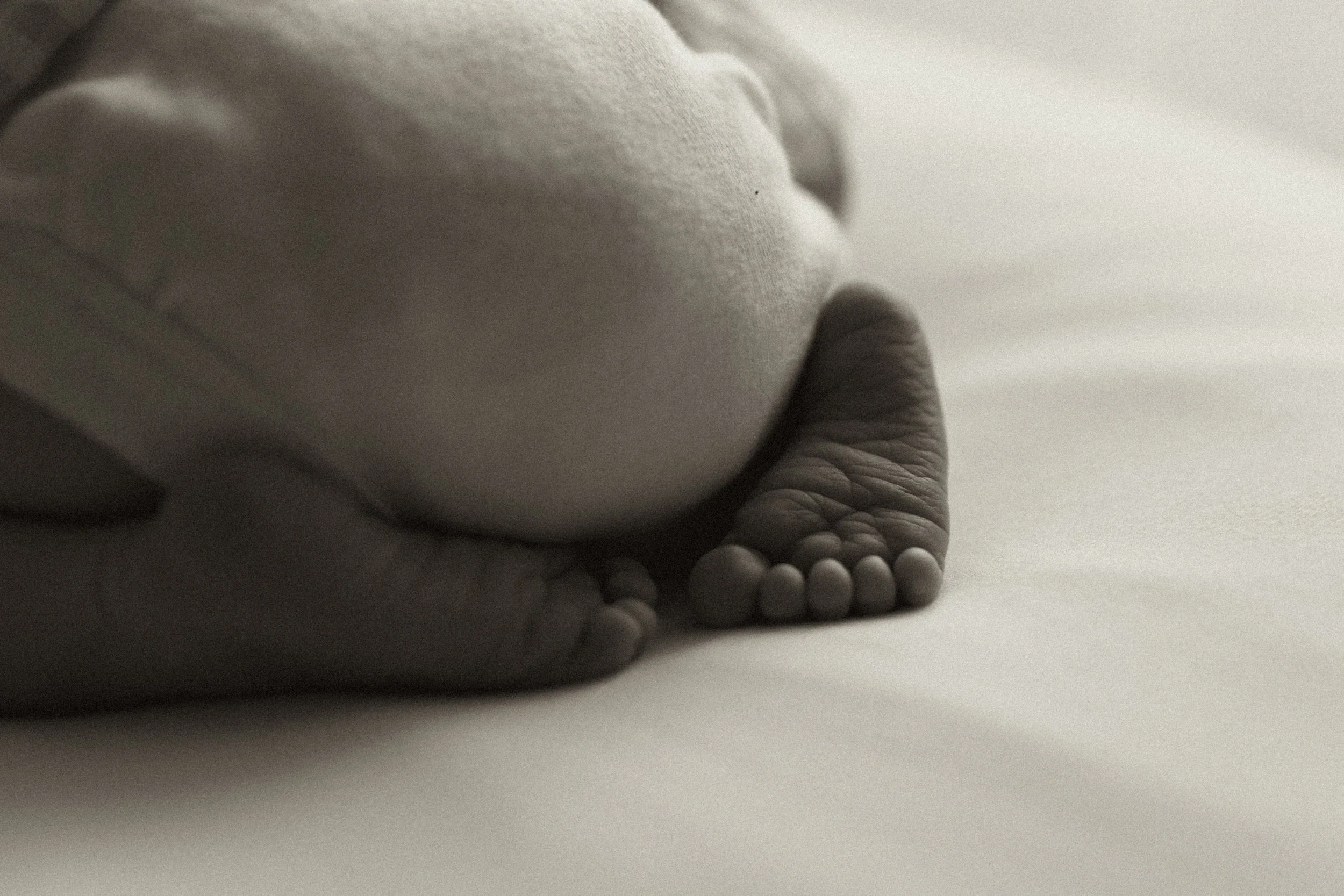 NEWBORN-MOLLY-ANN-PHOTOGRAPHY-6.jpg