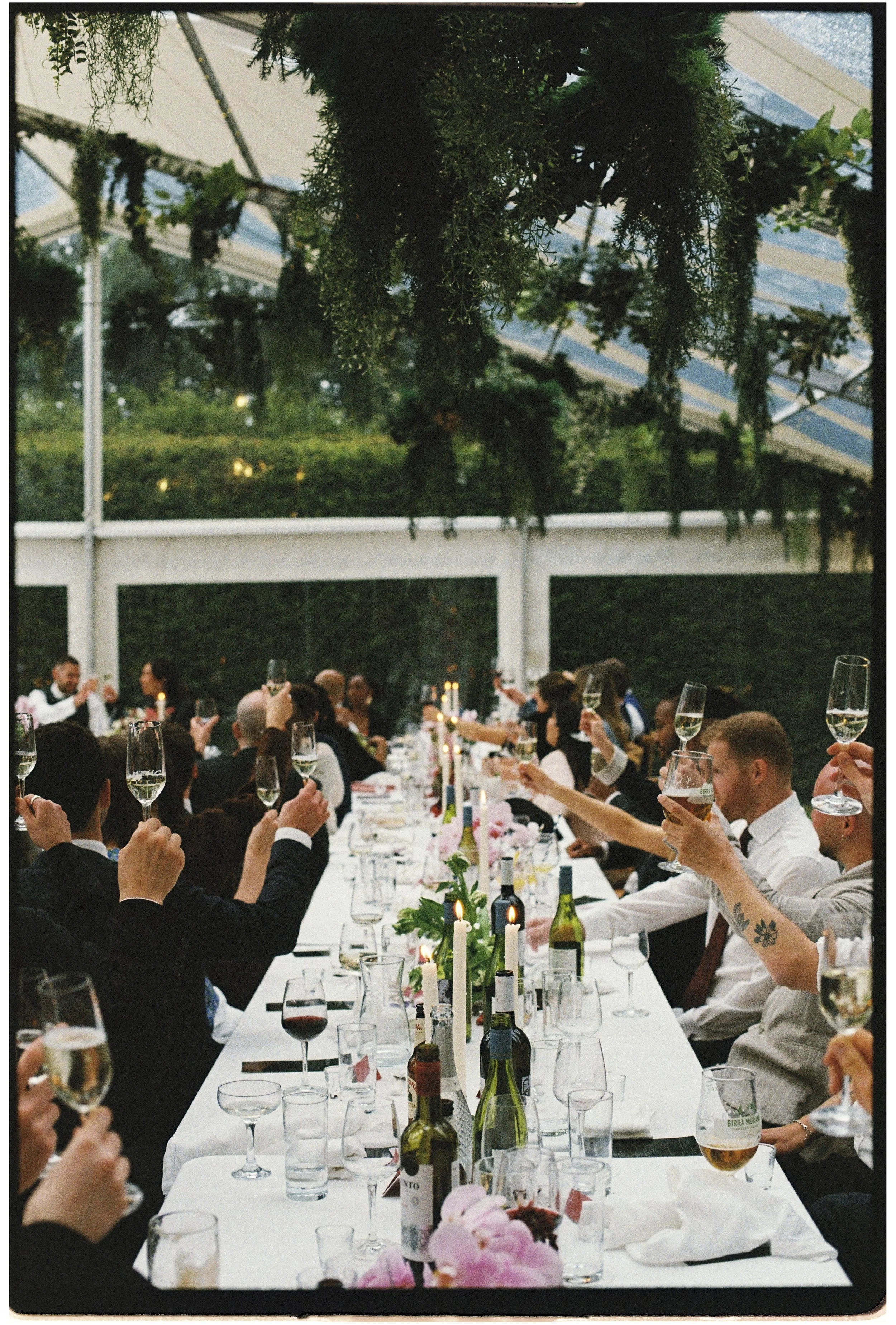 Guests celebrating during a wedding reception toast under hanging greenery, captured on 35mm film by a UK wedding photographer