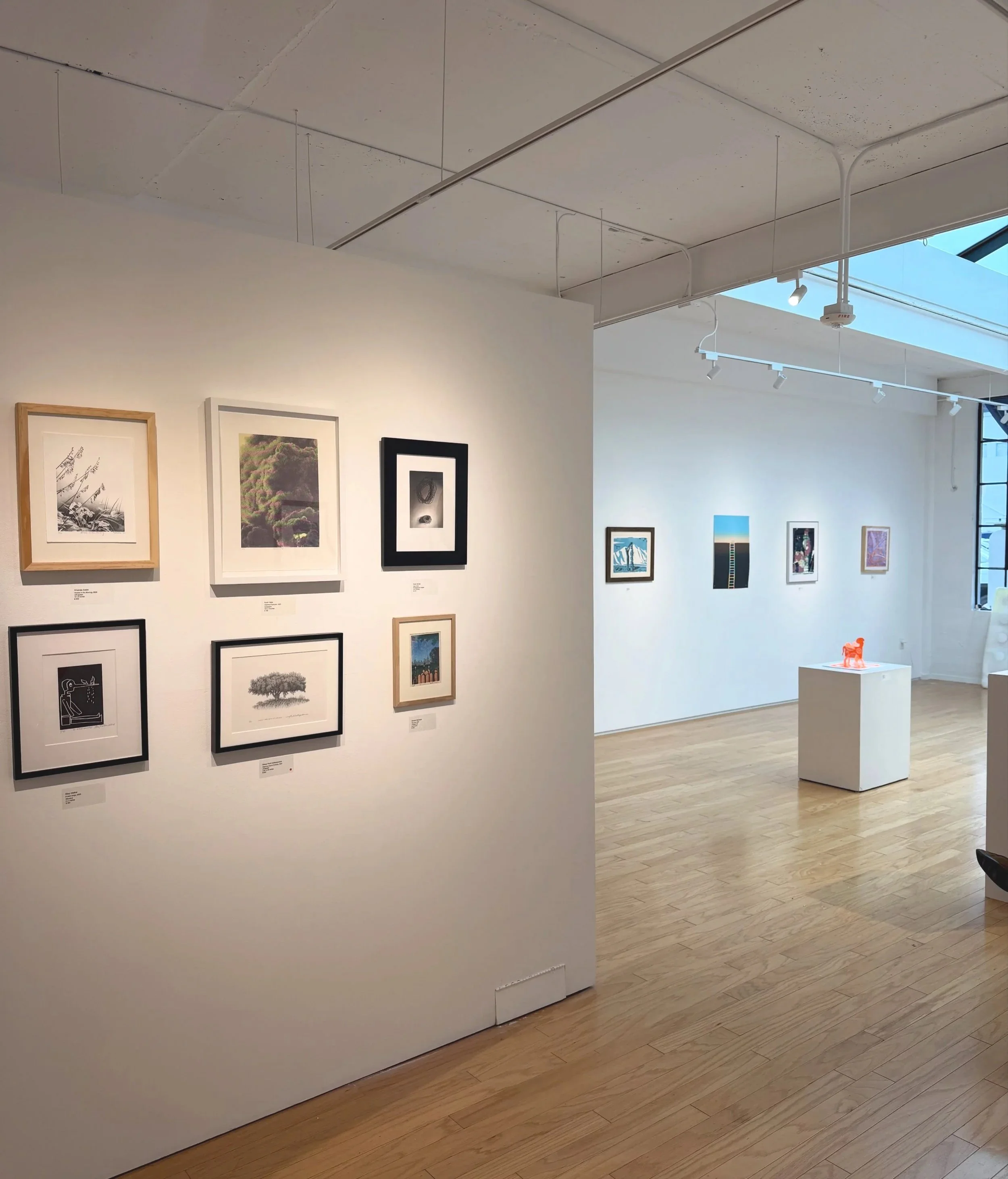  NEXT 2026 Print Houston Biennial   June 19 - July 18, 2026