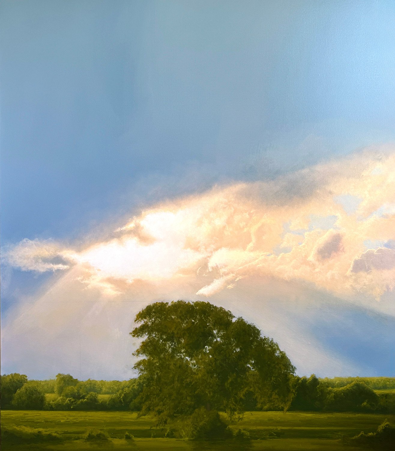 Rays, 2026 Oil on Canvas
72" x 60"
SKU: BR156
 