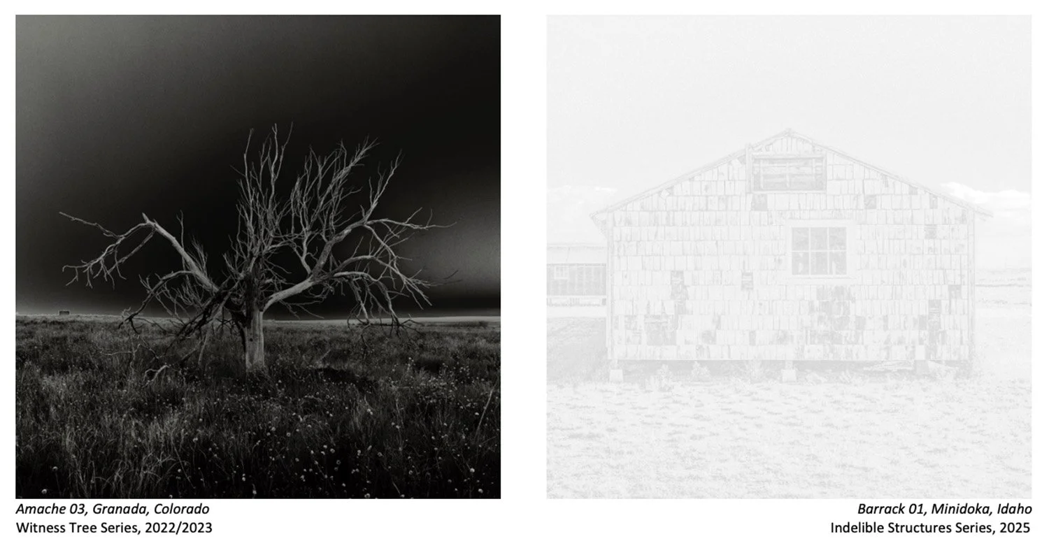 Osamu James Nakagawa