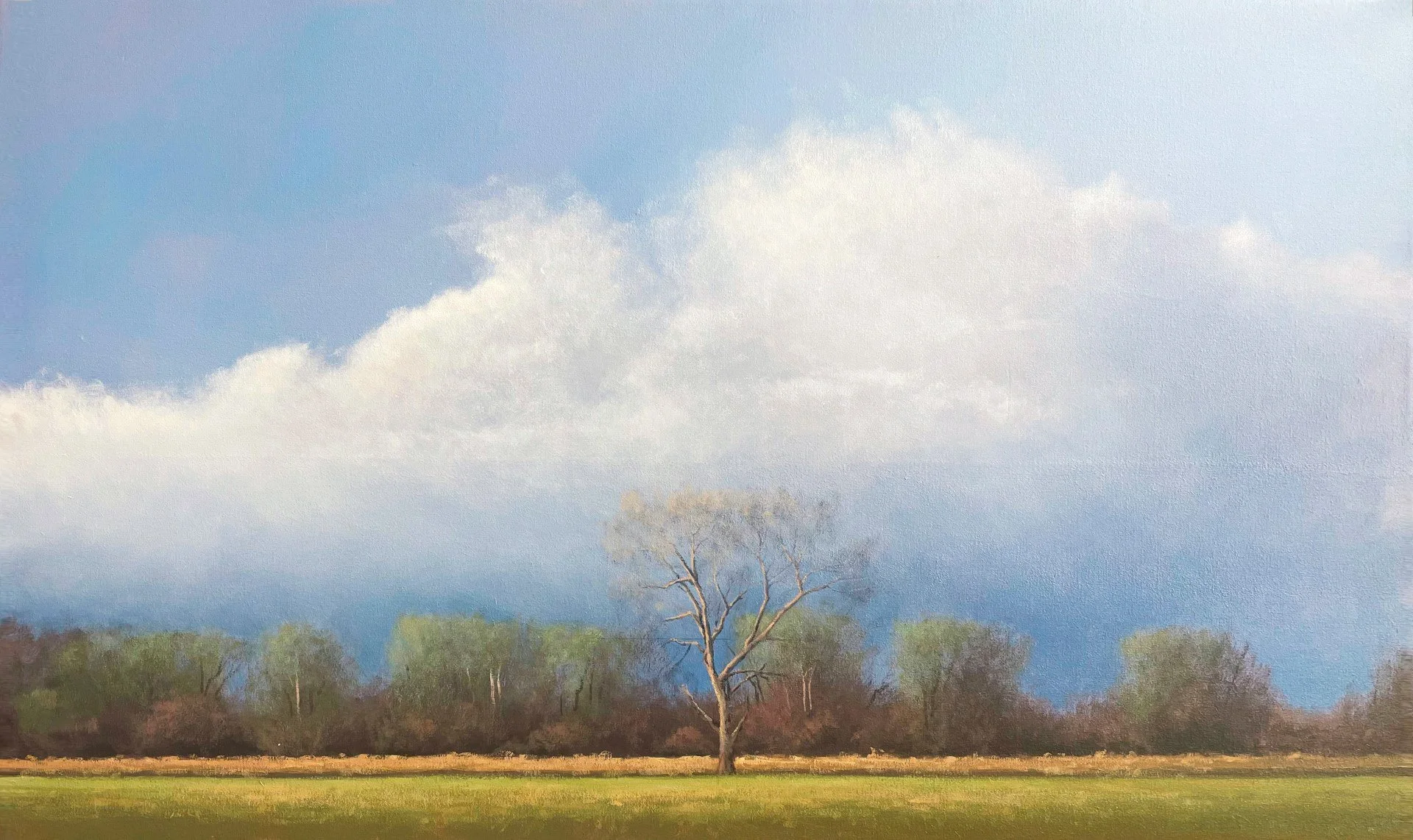 Against a Cumulous Sky, 2026 Oil on Canvas
24" x 40"
SKU: BR159
 