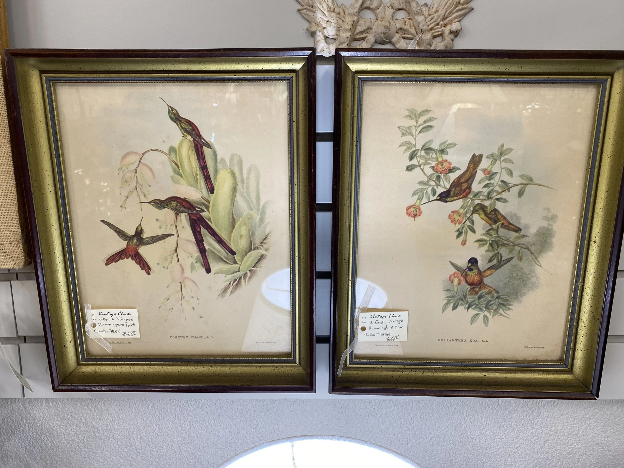 J Gould hummingbird prints