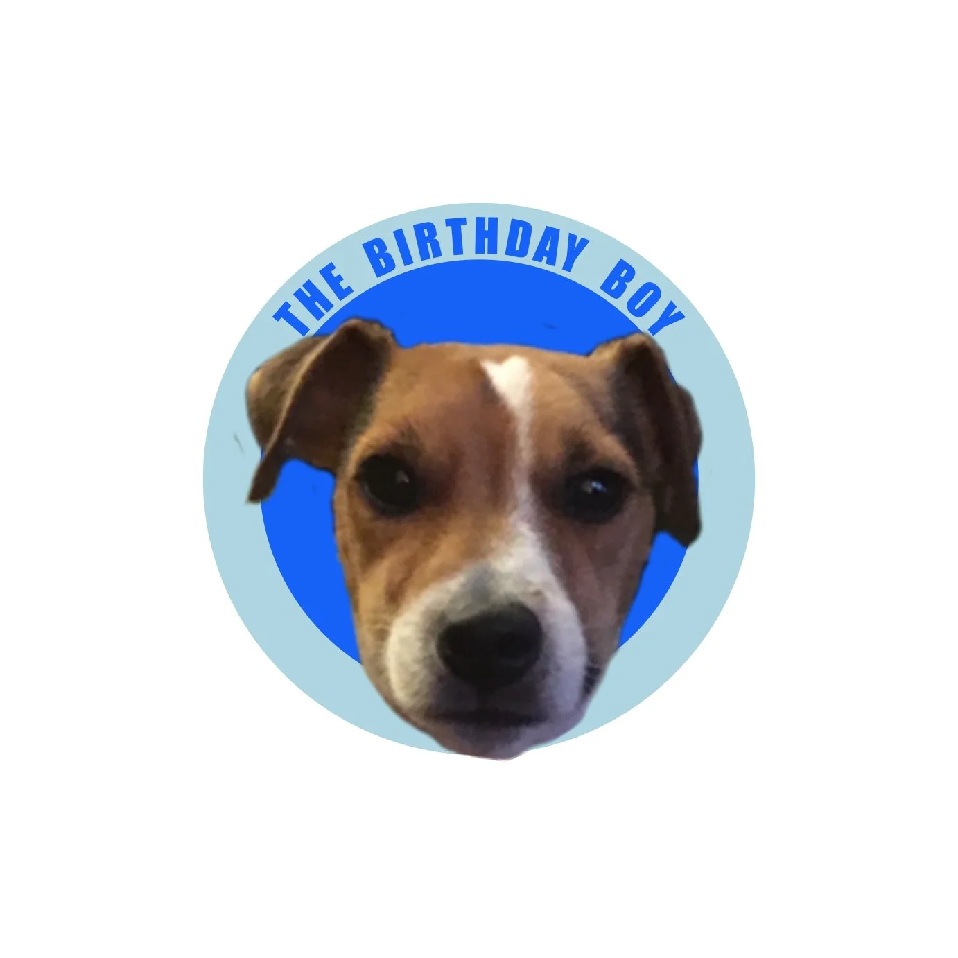 Peanut’s Rockin Birthday Bash!