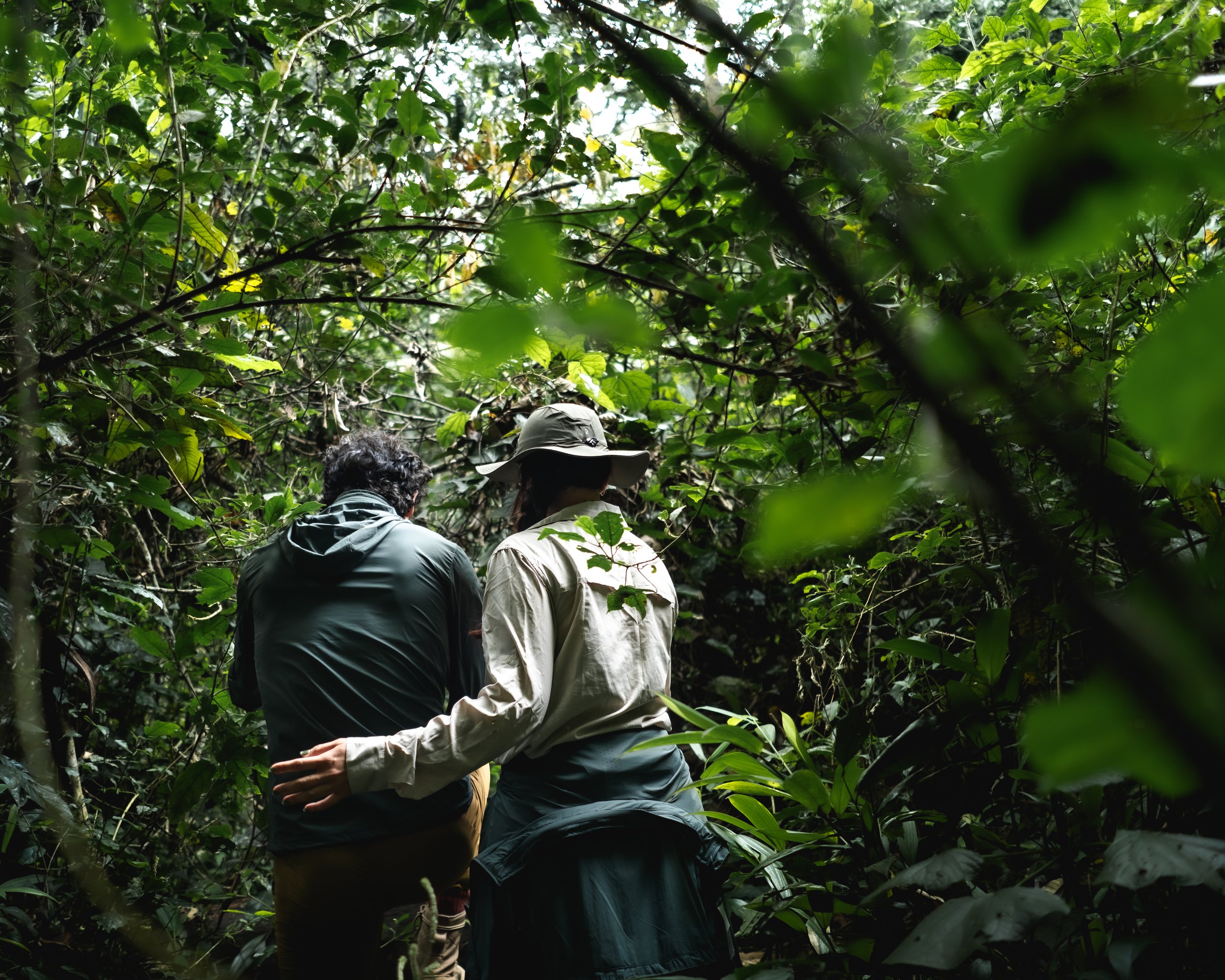 Two people hiking through dense jungle, one wearing a wide-brimmed hat and the other with curly hair, surrounded by lush green foliage.