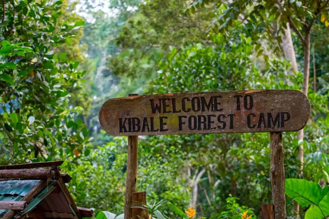 Welcome-to-Kibale-Forest-Camp.jpg