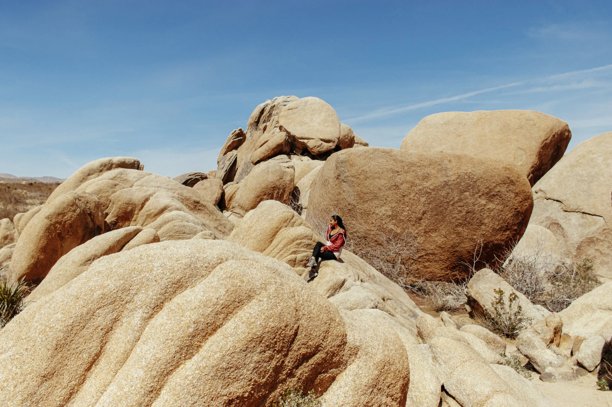 Joshua Tree.jpg