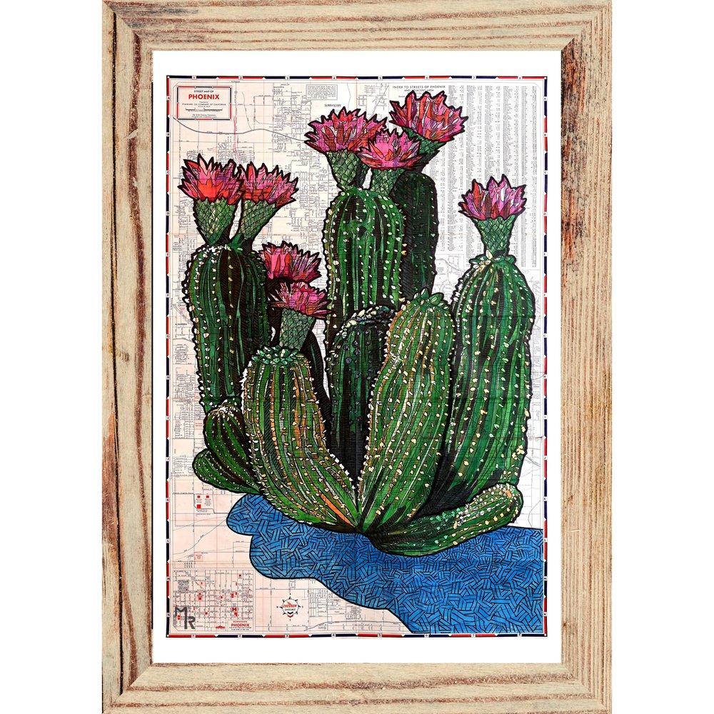 Wall Art Print - Flowering Hedgehog Cactus Vintage Map Phoenix, Arizona   Meishlish - Handcrafted Map Art