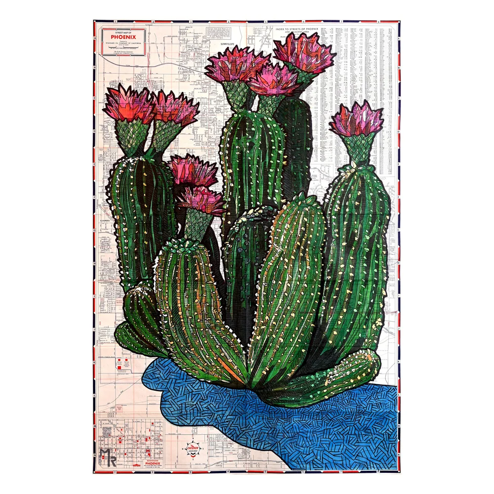 Wall Art Print - Flowering Hedgehog Cactus Vintage Map Phoenix, Arizona  Meishlish - Handcrafted Map Art