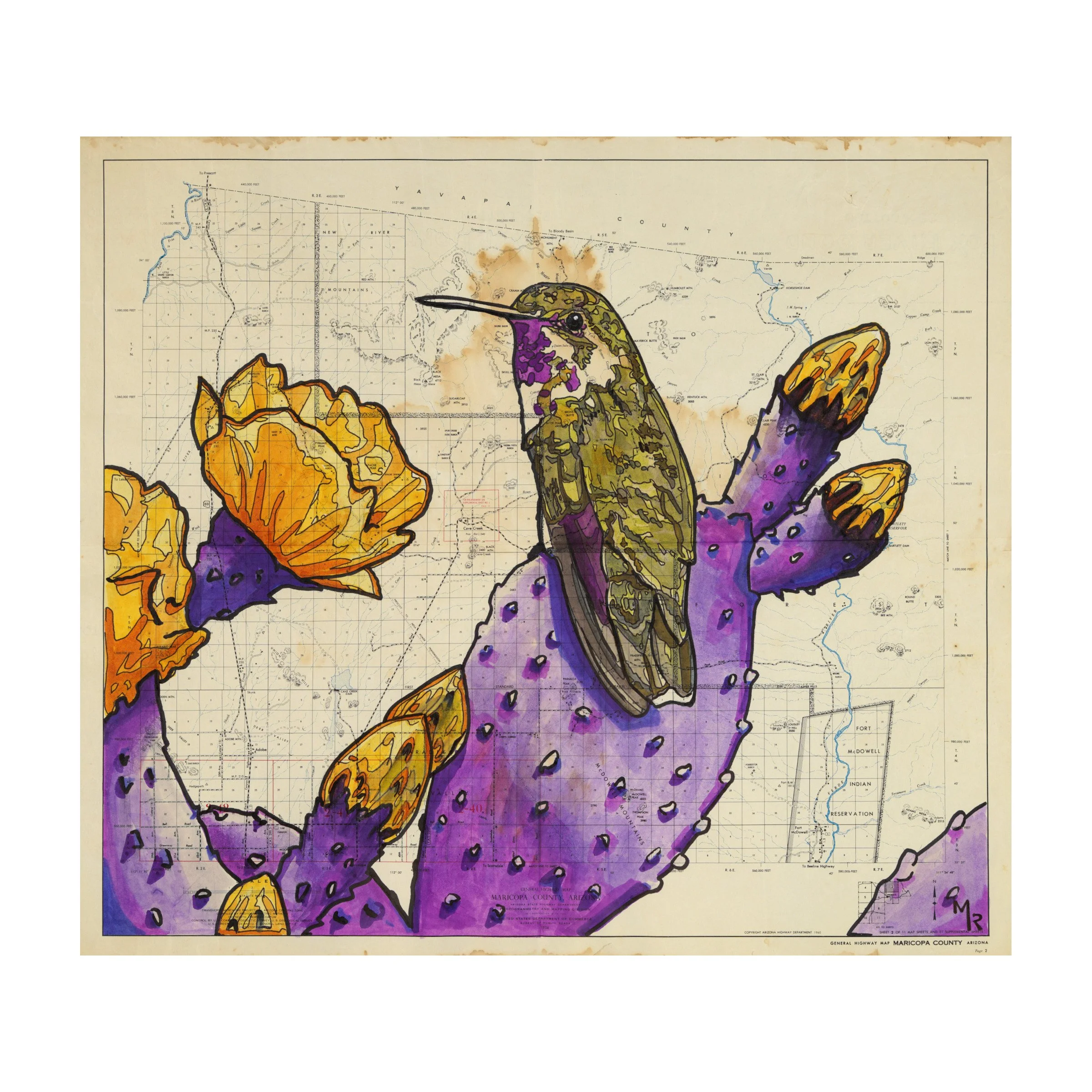 Maricopa Hummingbird Wall Art Print - 10” x 8”