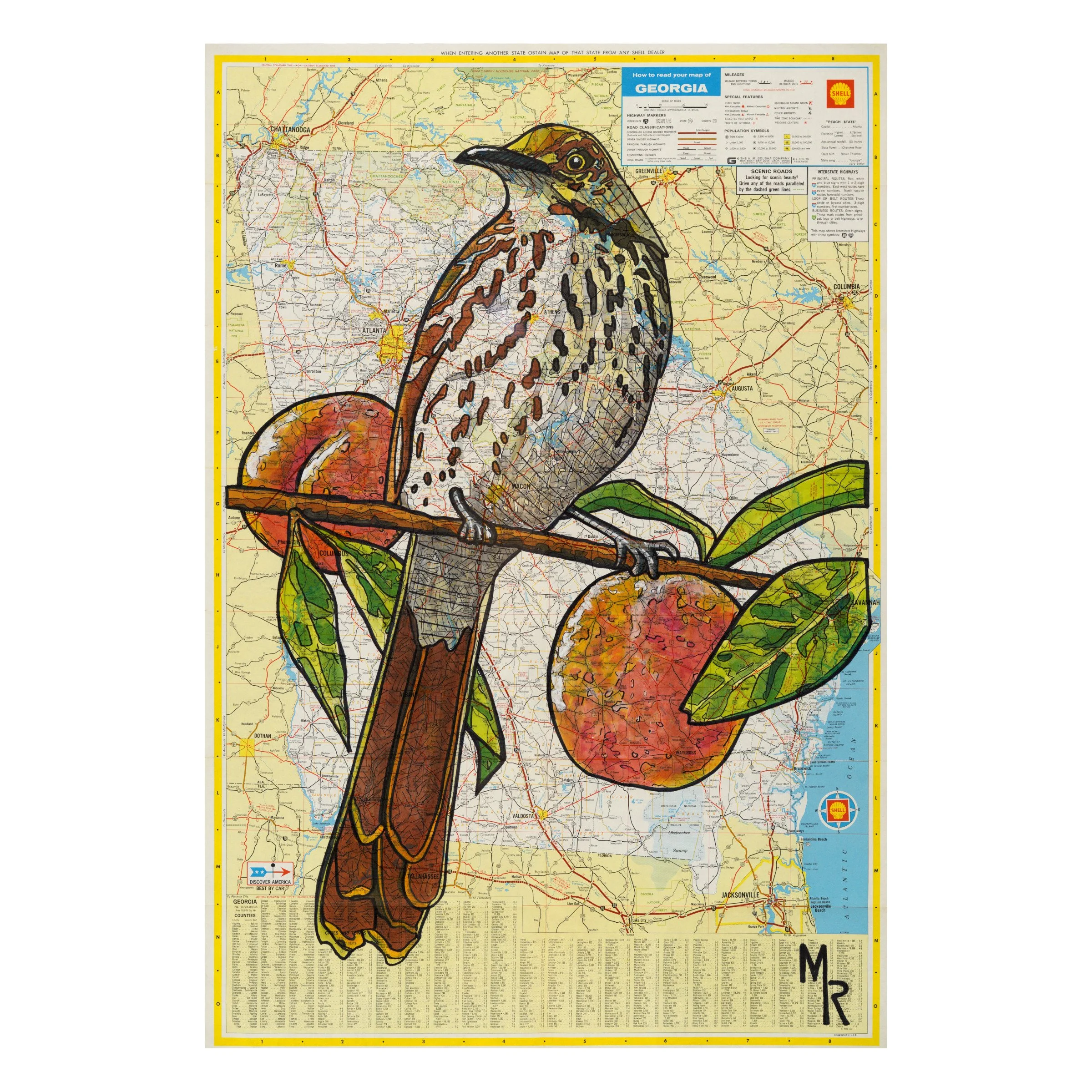 Georgia Brown Thrasher Wall Art Print - 16” x 24”