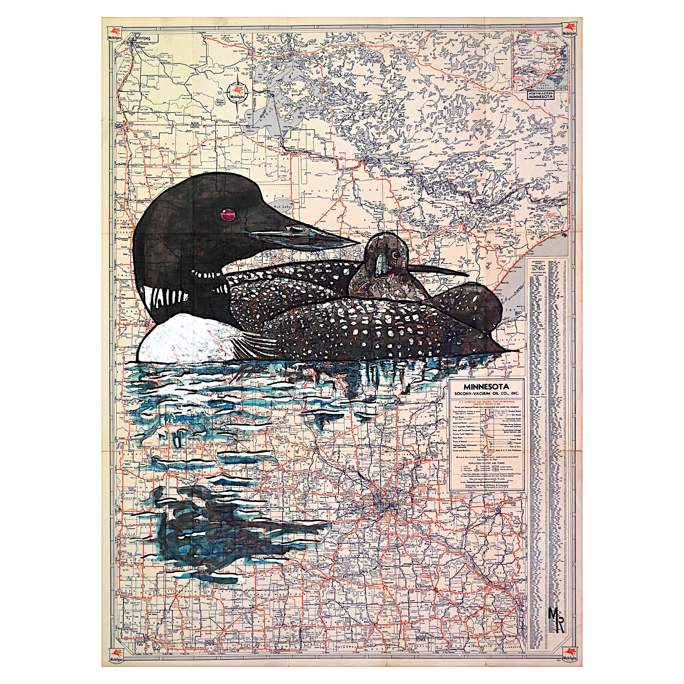 Minnesota Loon_16x20_square.jpg
