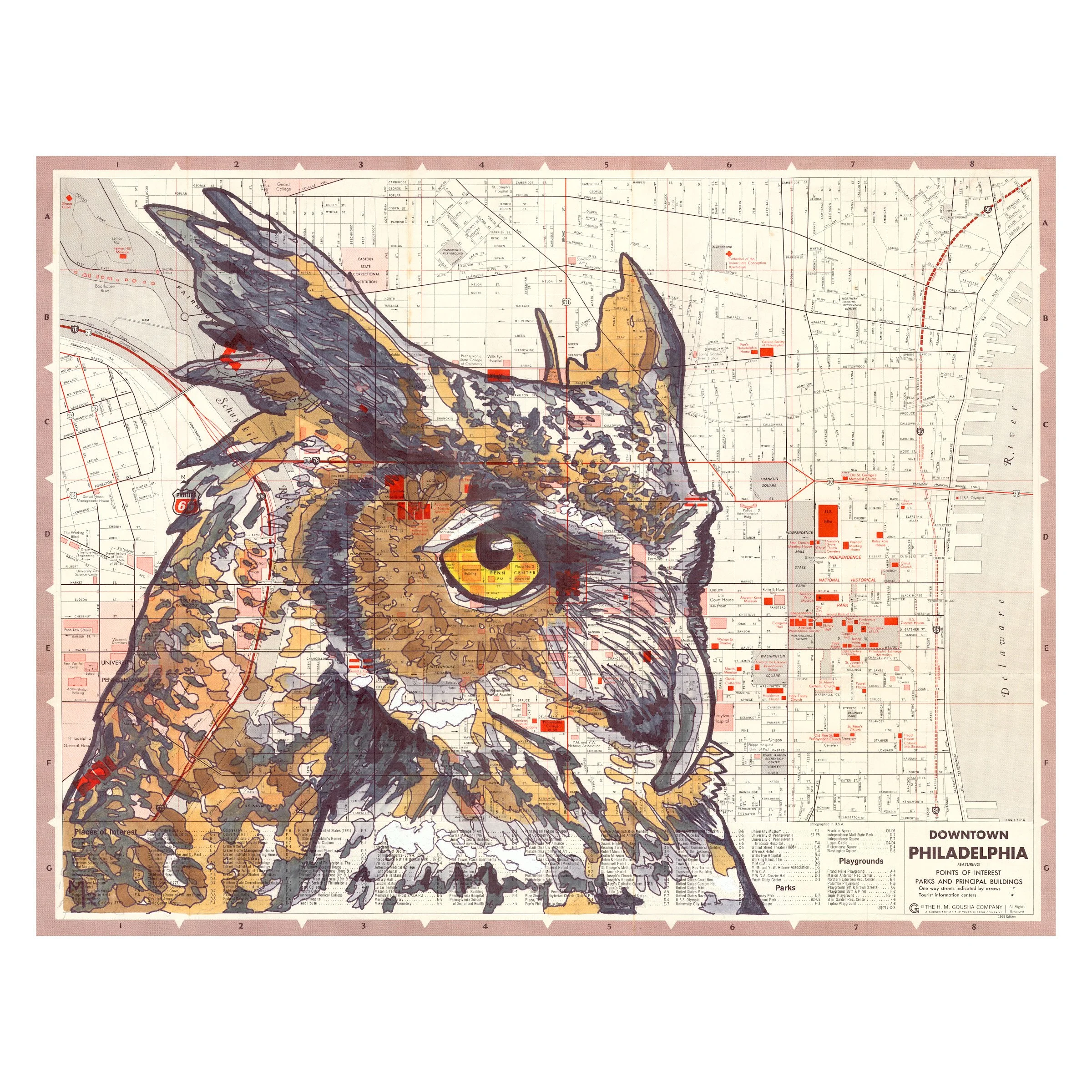 Philadelphia Owl Wall Art Print - 14" x 11"