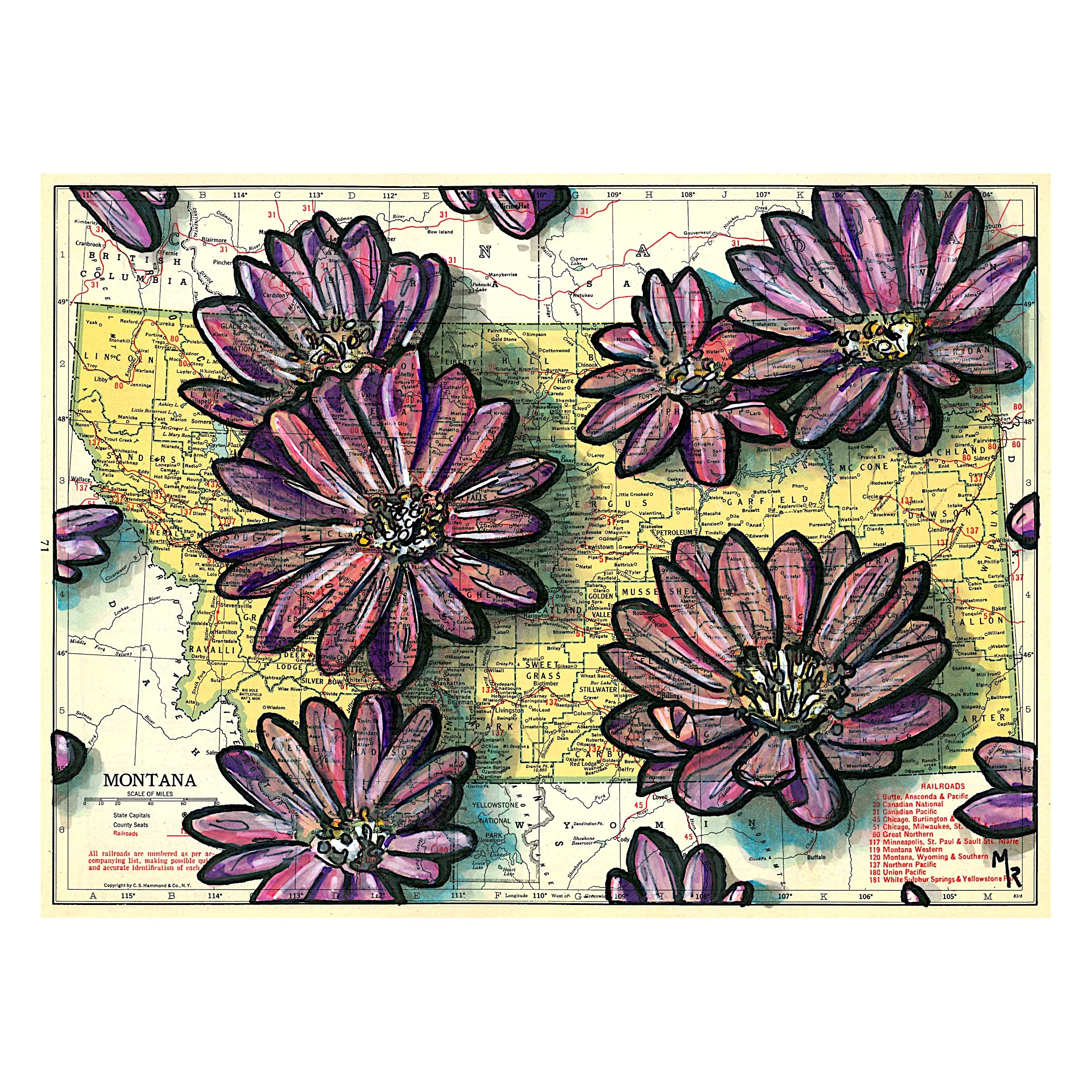 Montana Wildflowers Wall Art Print - 10” x 8”