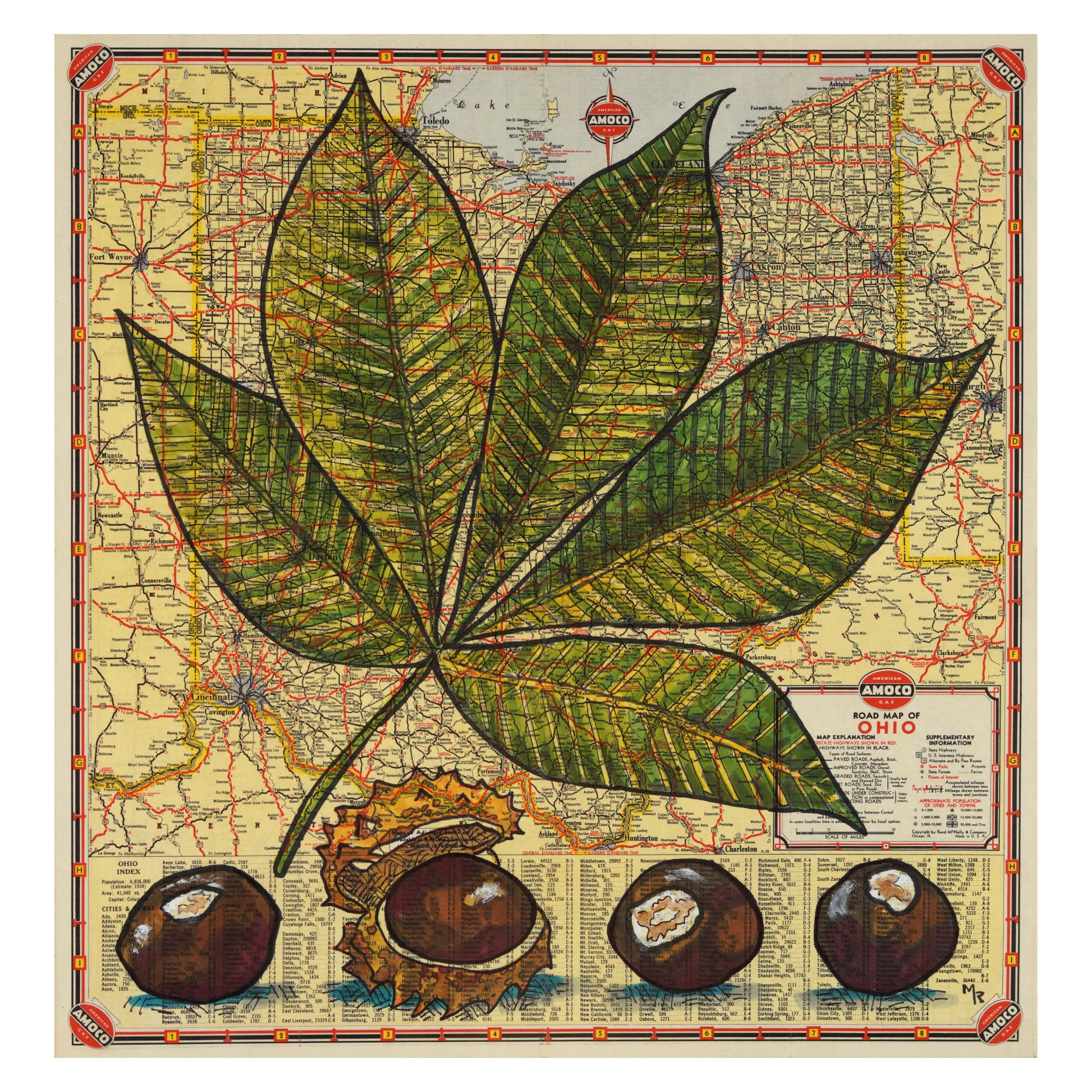 Ohio Buckeye Wall Art Print Wall Art Print - 16” x 16”
