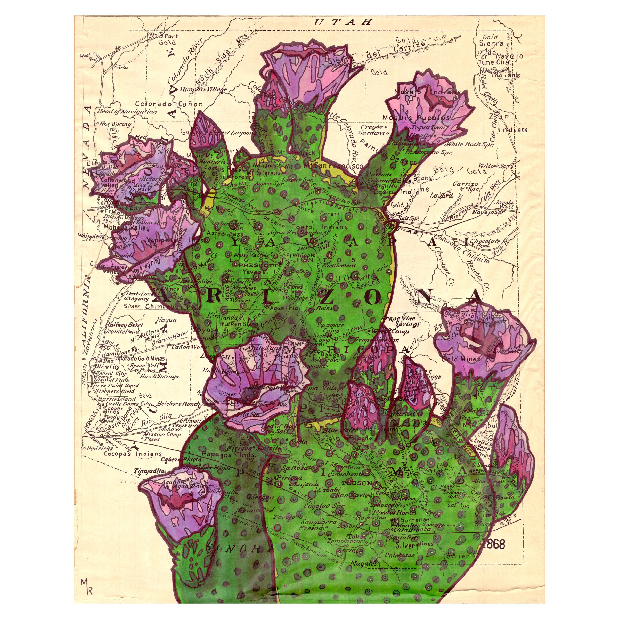 cactus 2_small.jpg