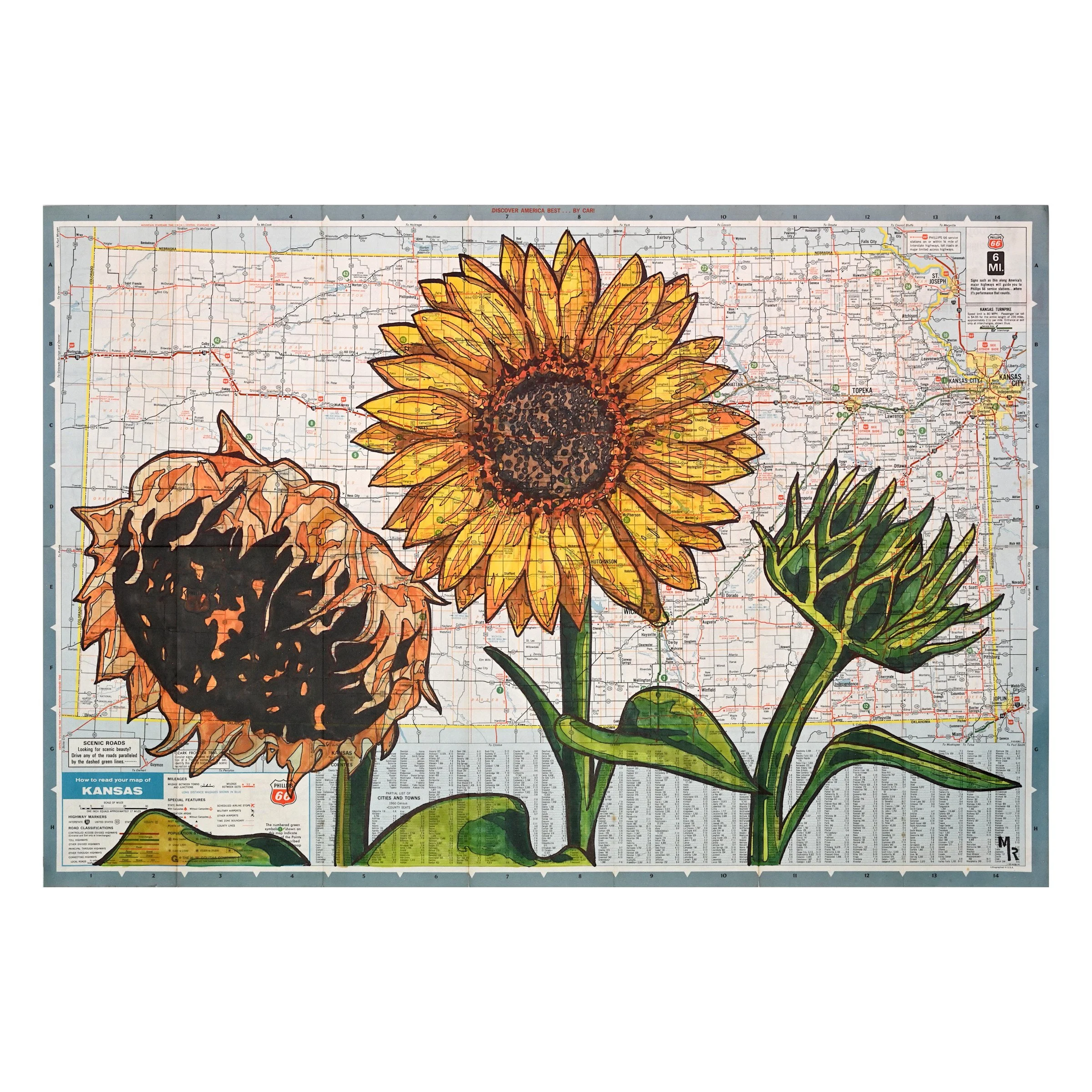 kansas_sunflowers_24x16_square.jpg
