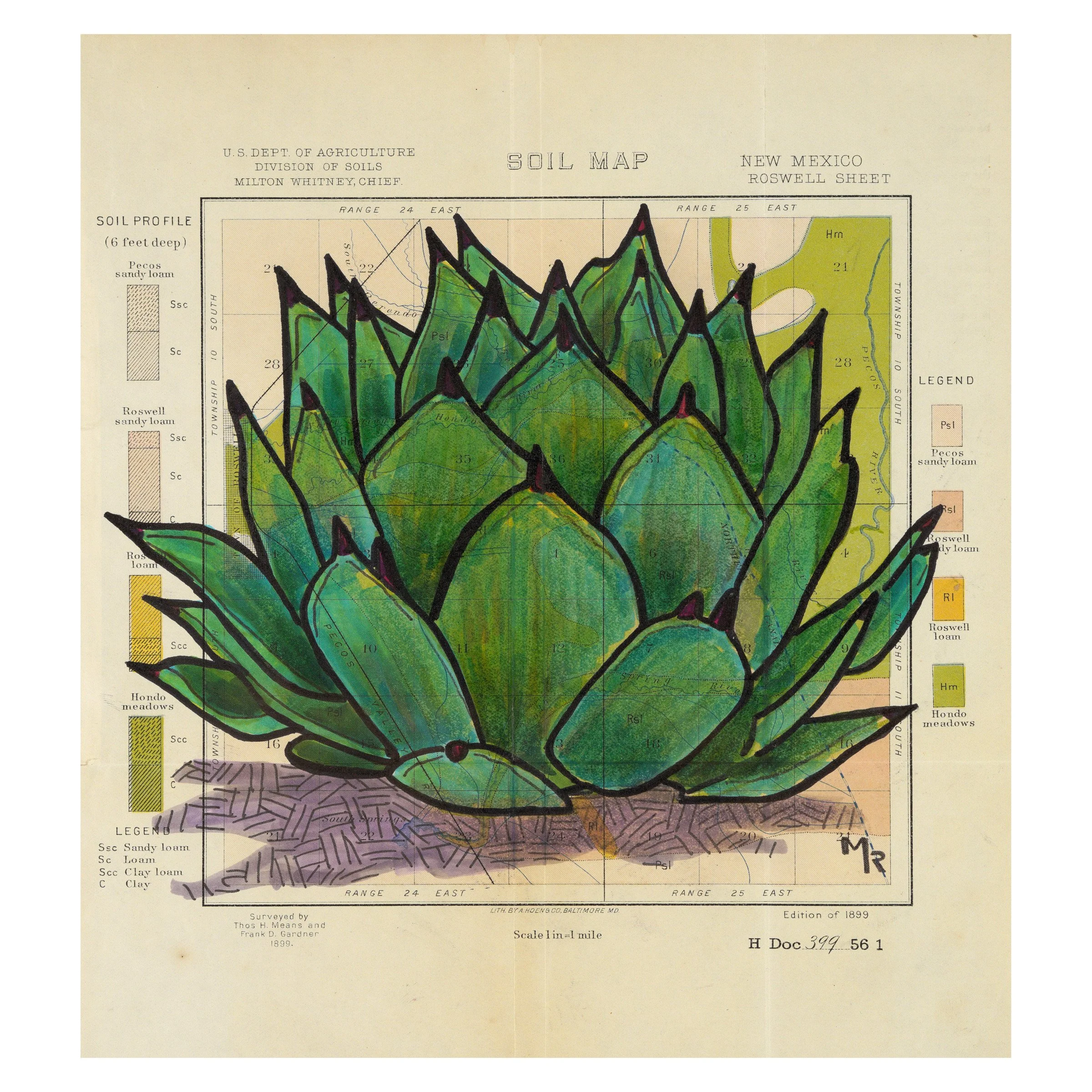 New Mexico Agave Wall Art Print - 16” x 16”