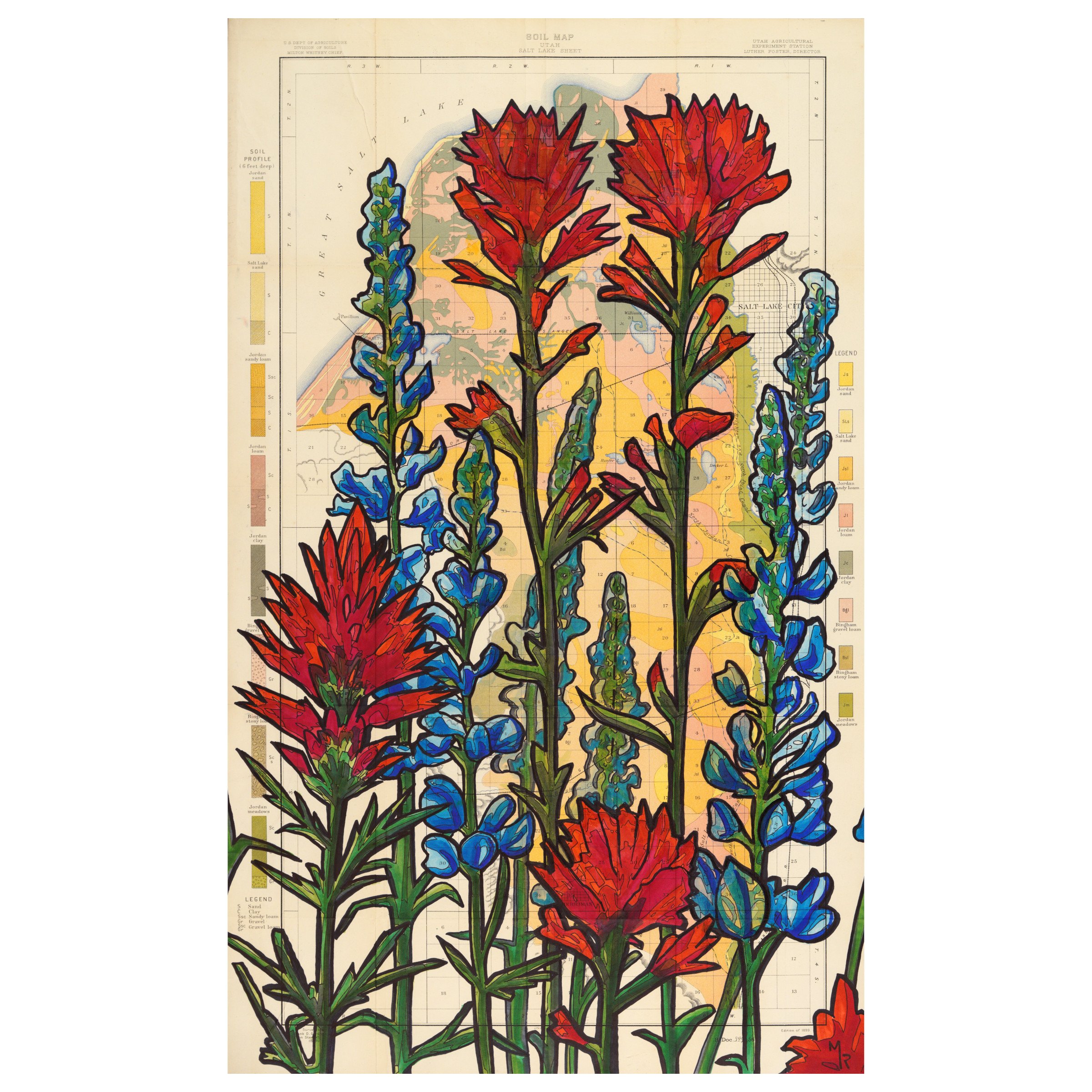 Great Salt Lake Wildflowers Wall Art Print - 20” x 30”