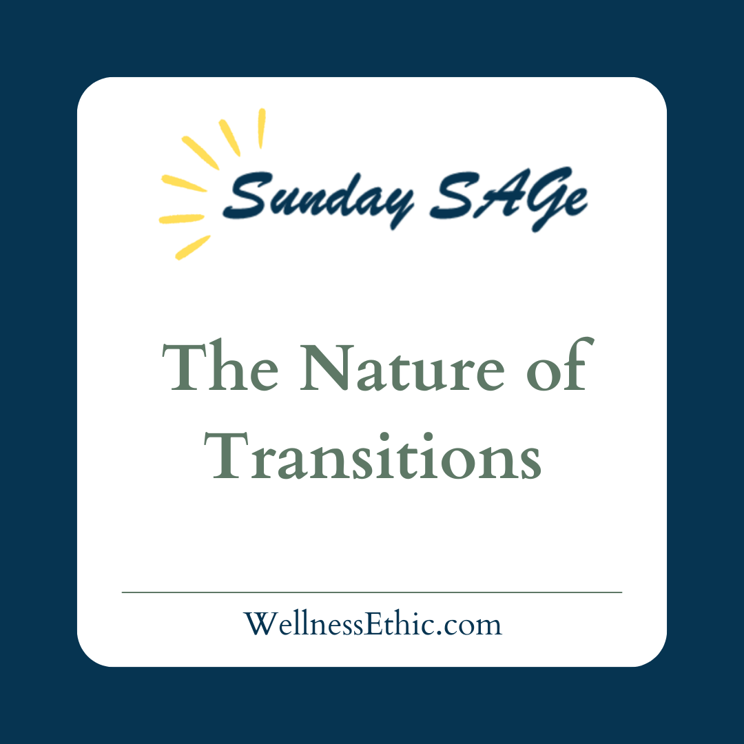 The Nature of Transitions